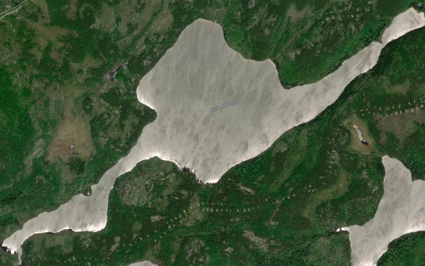 Satellite map of the Lac Rooster