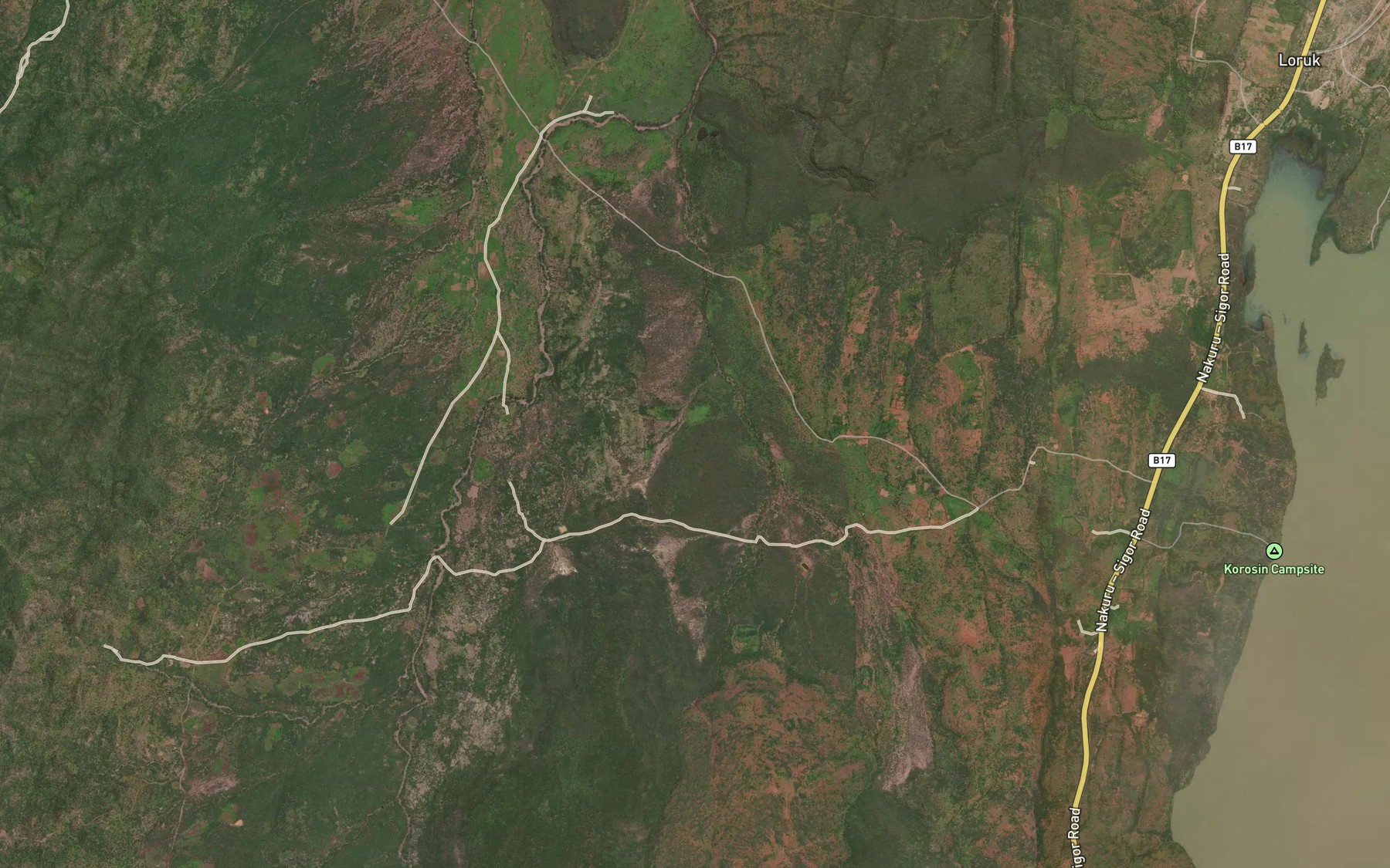 Satellite map of the Ngaratugo