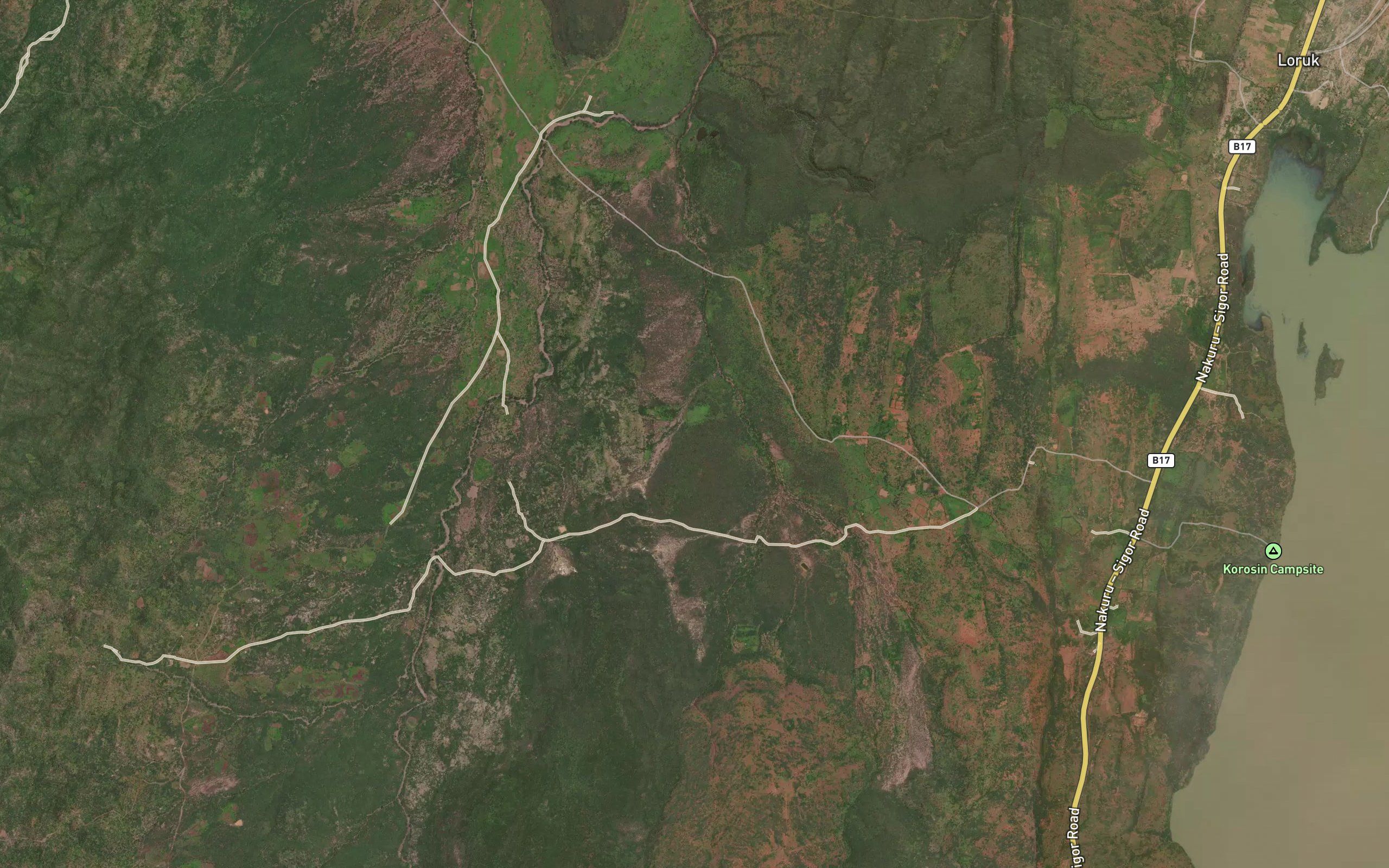 Ngaratugo