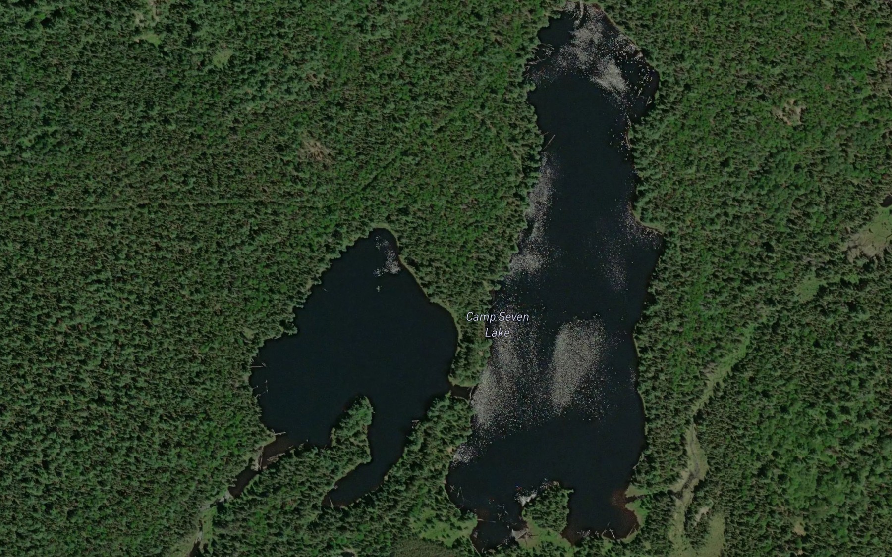 Satellite map of the Camp Seven Lake