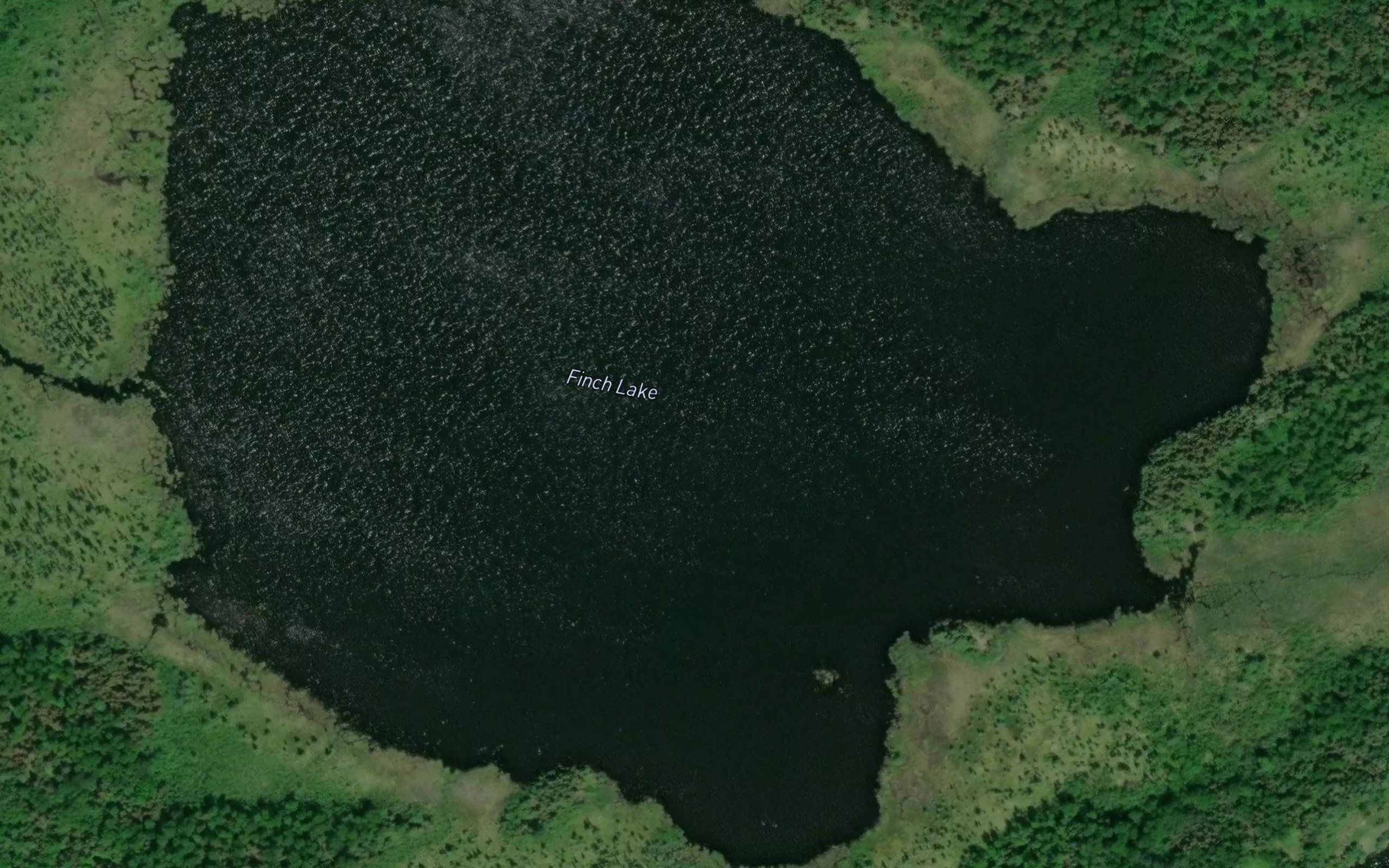 Finch Lake