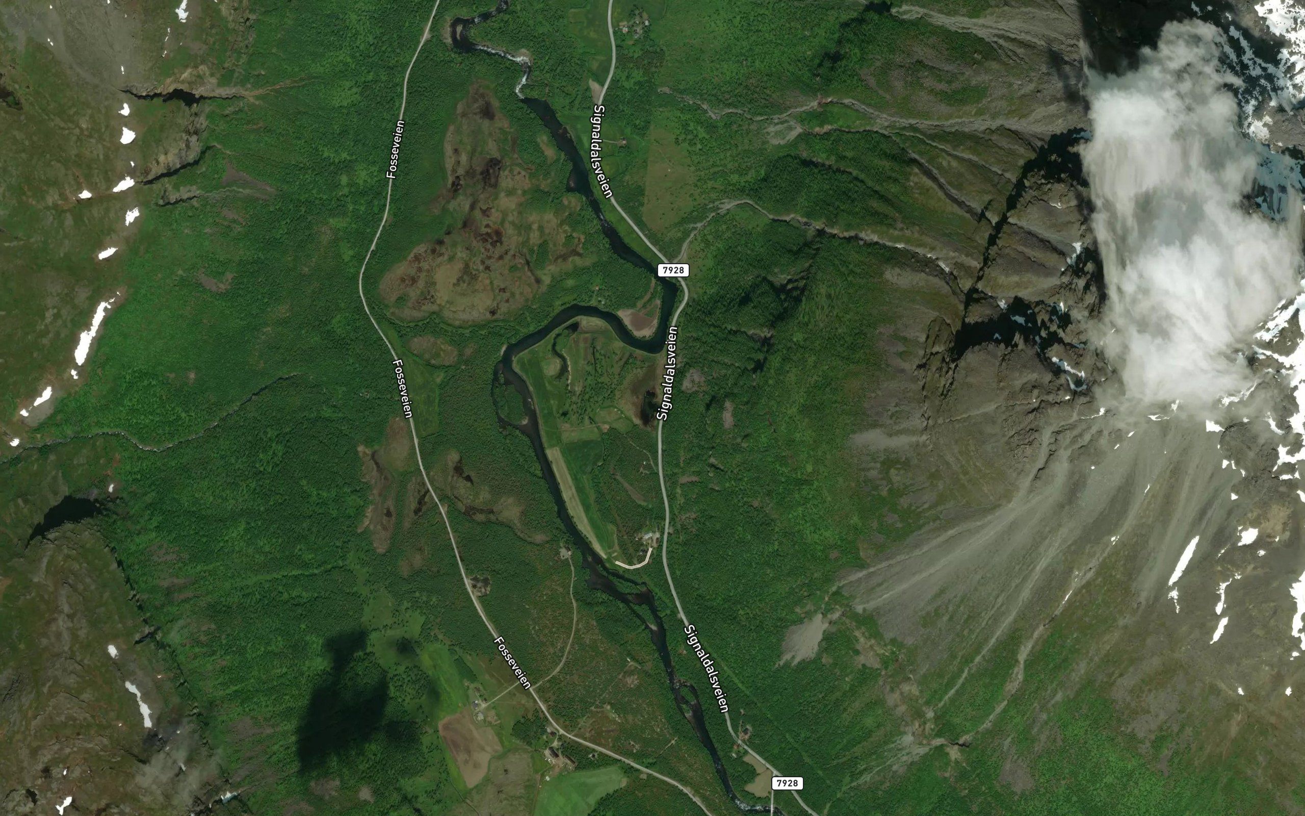 Gustavtjorna