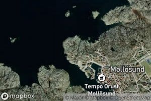 Stuteviken