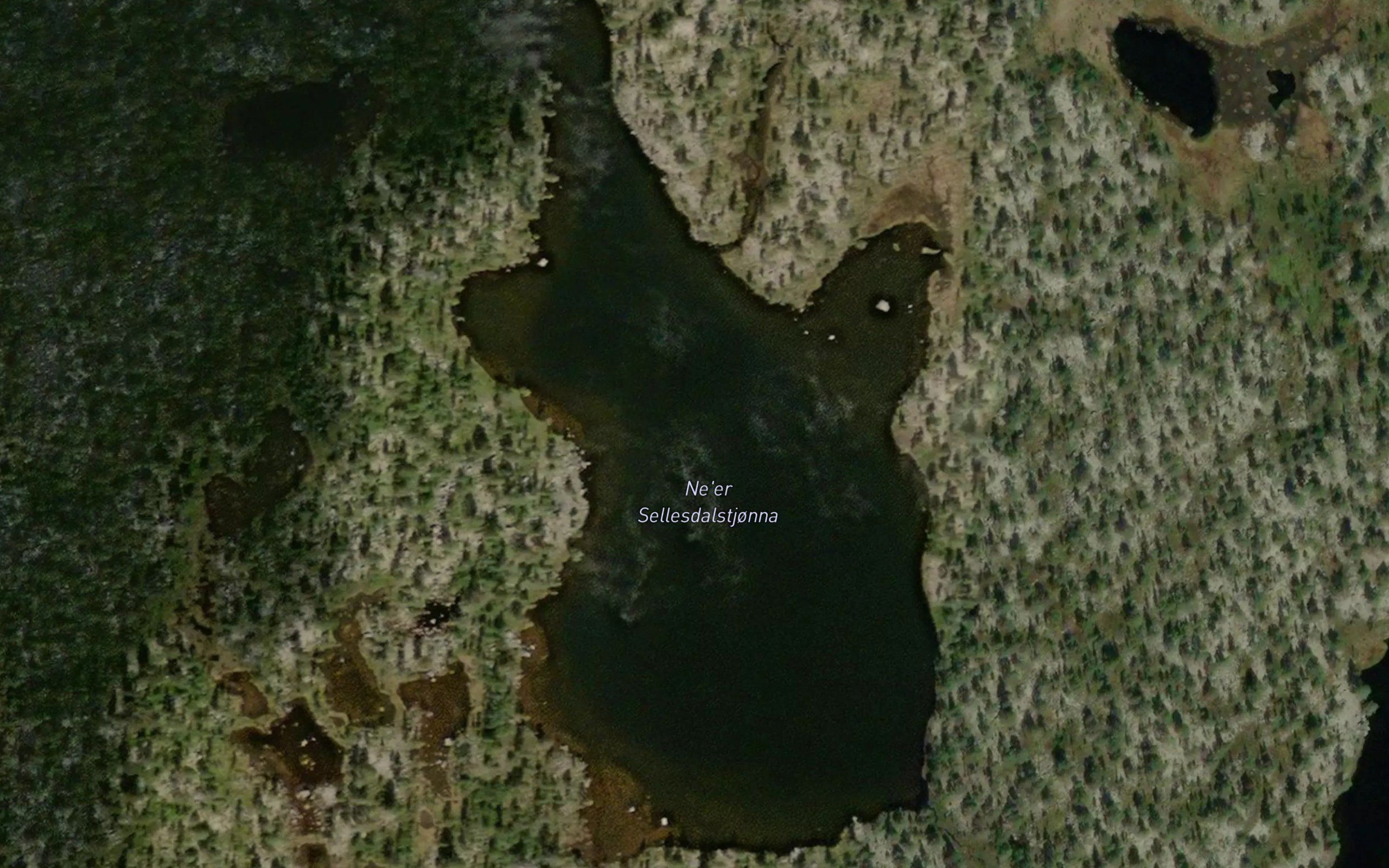 Sellesdalstjonnan