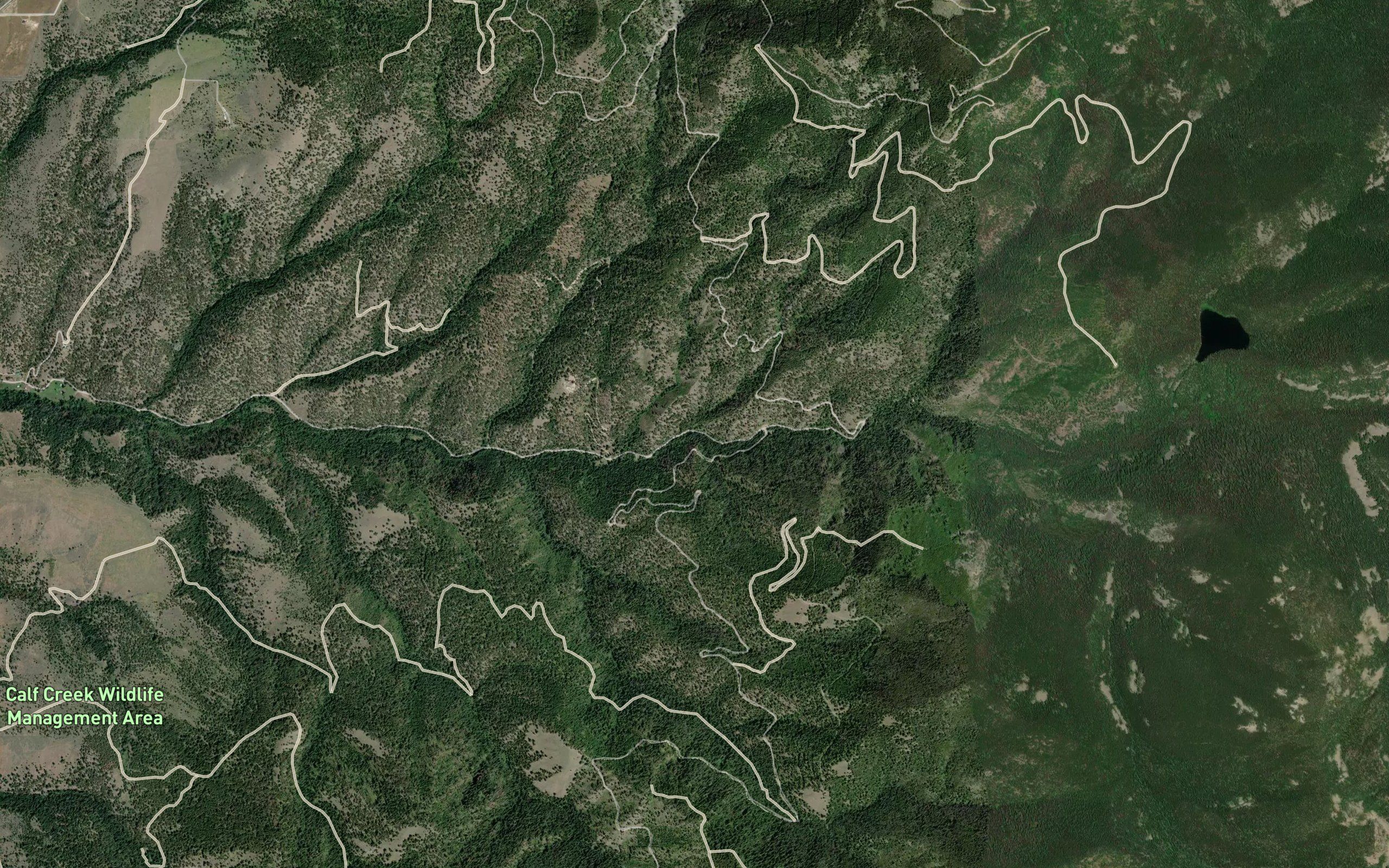 Beartrap Creek