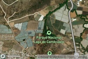 Laguna Camecuaro
