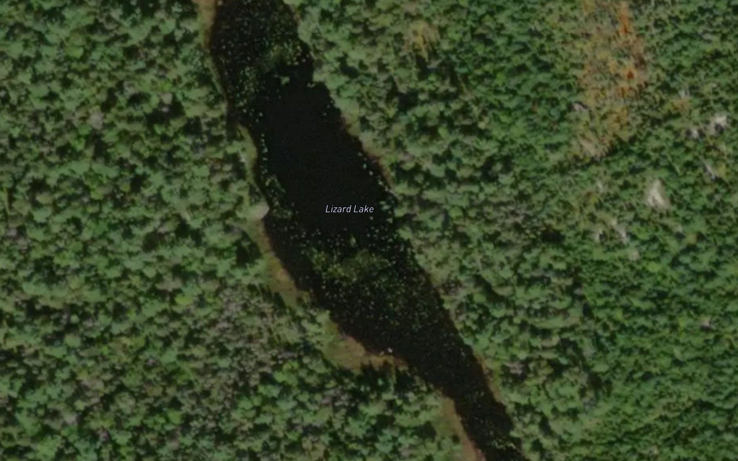 Lizard Lake