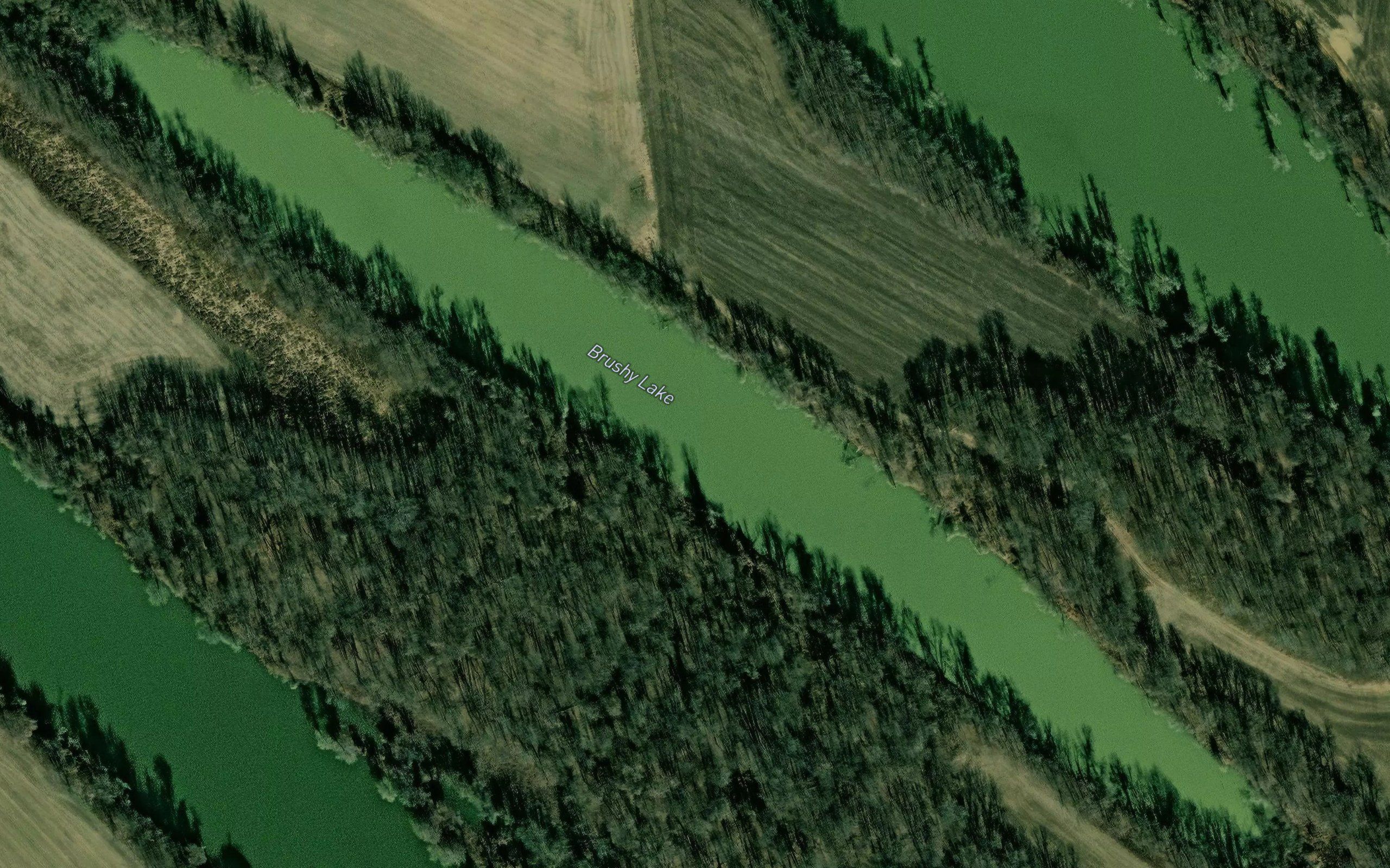 Brushy Lake