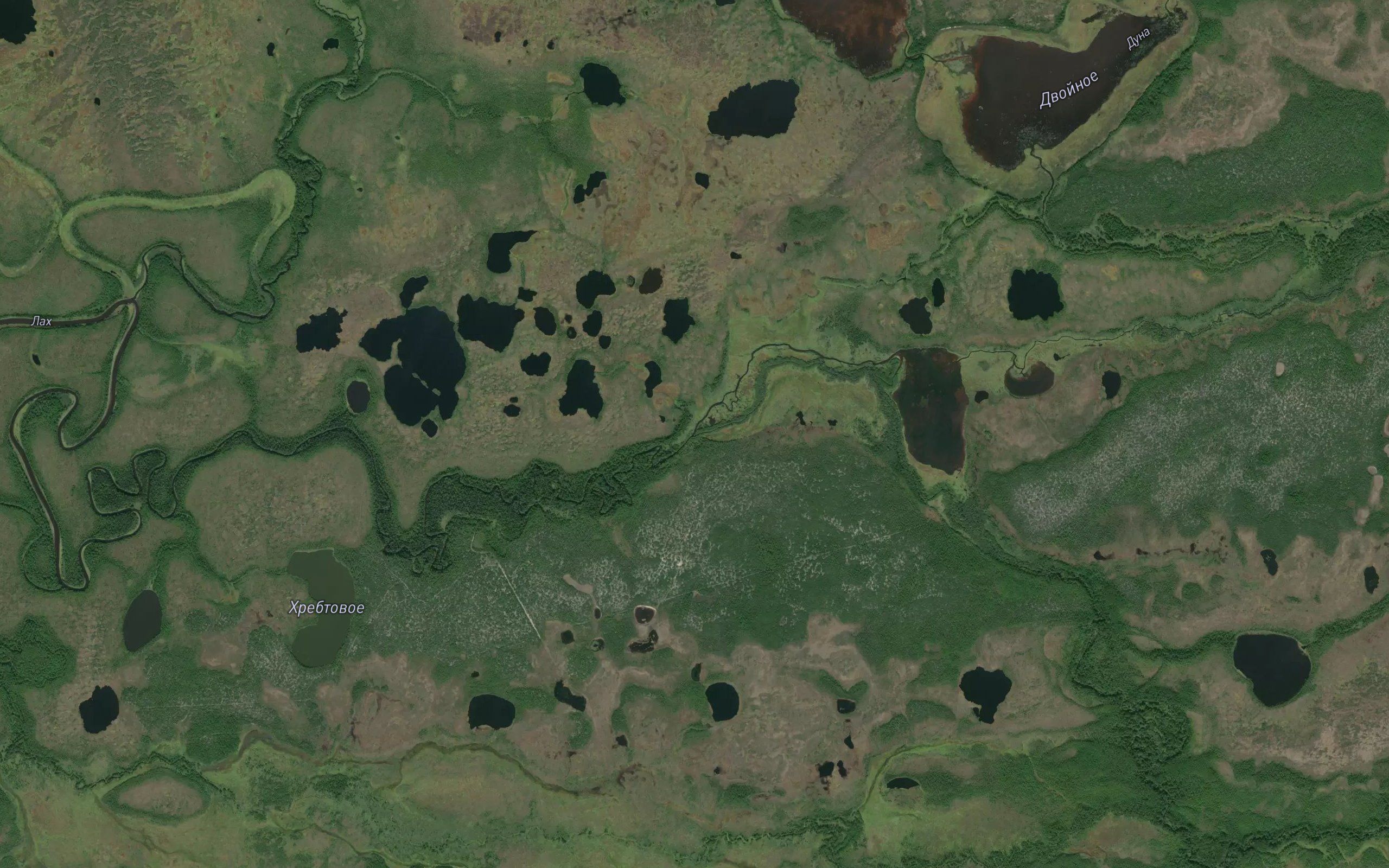 Lakachan