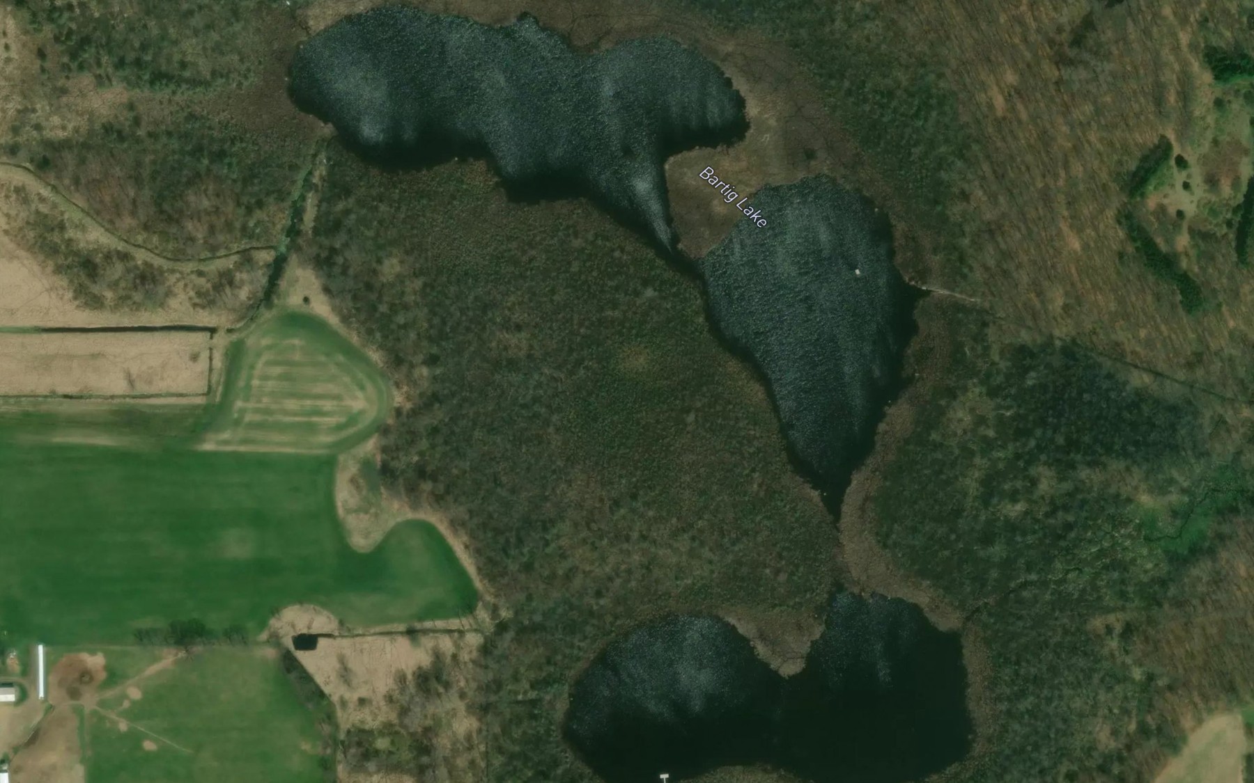 Satellite map of the Bartig Lake