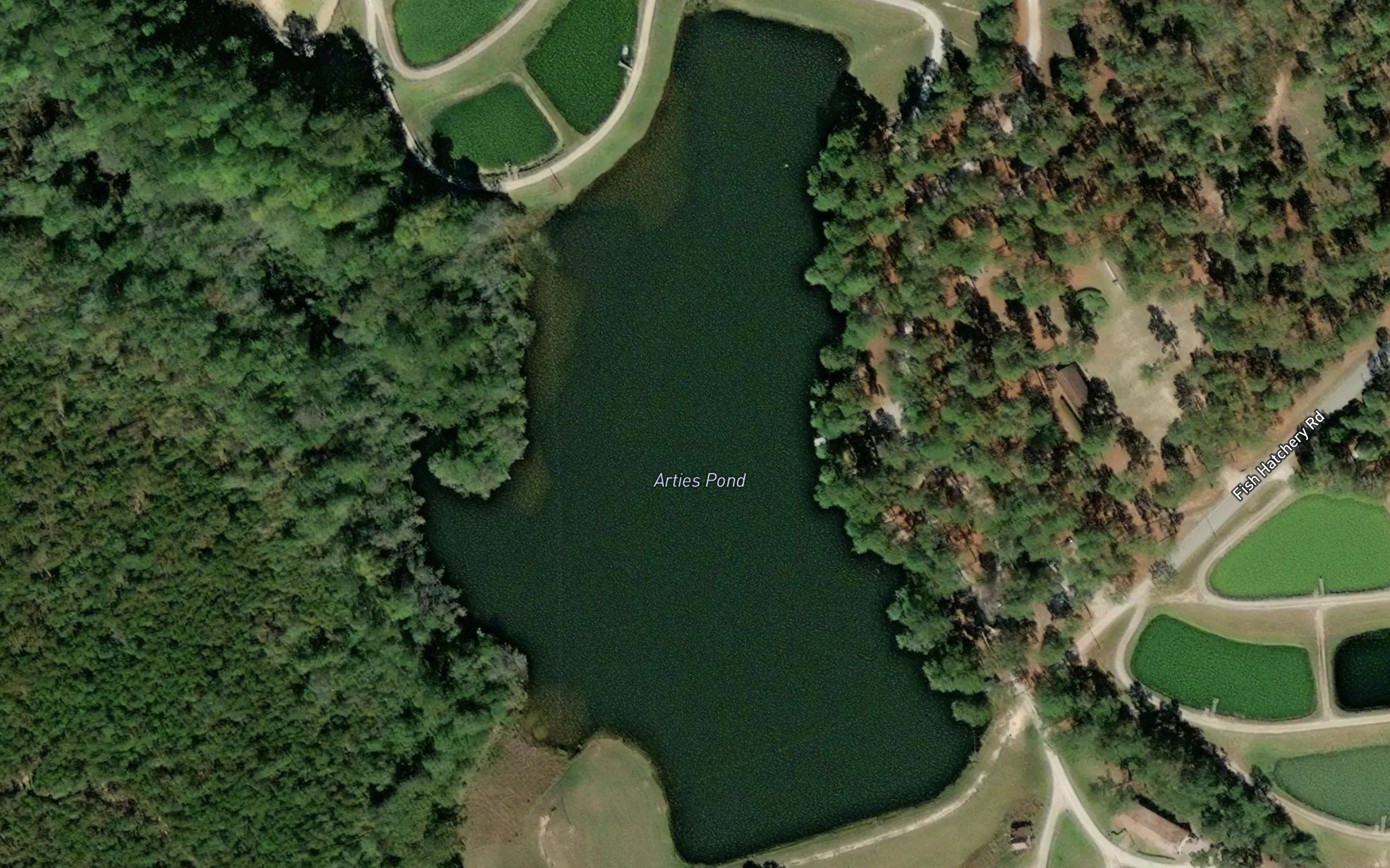 Arties Pond