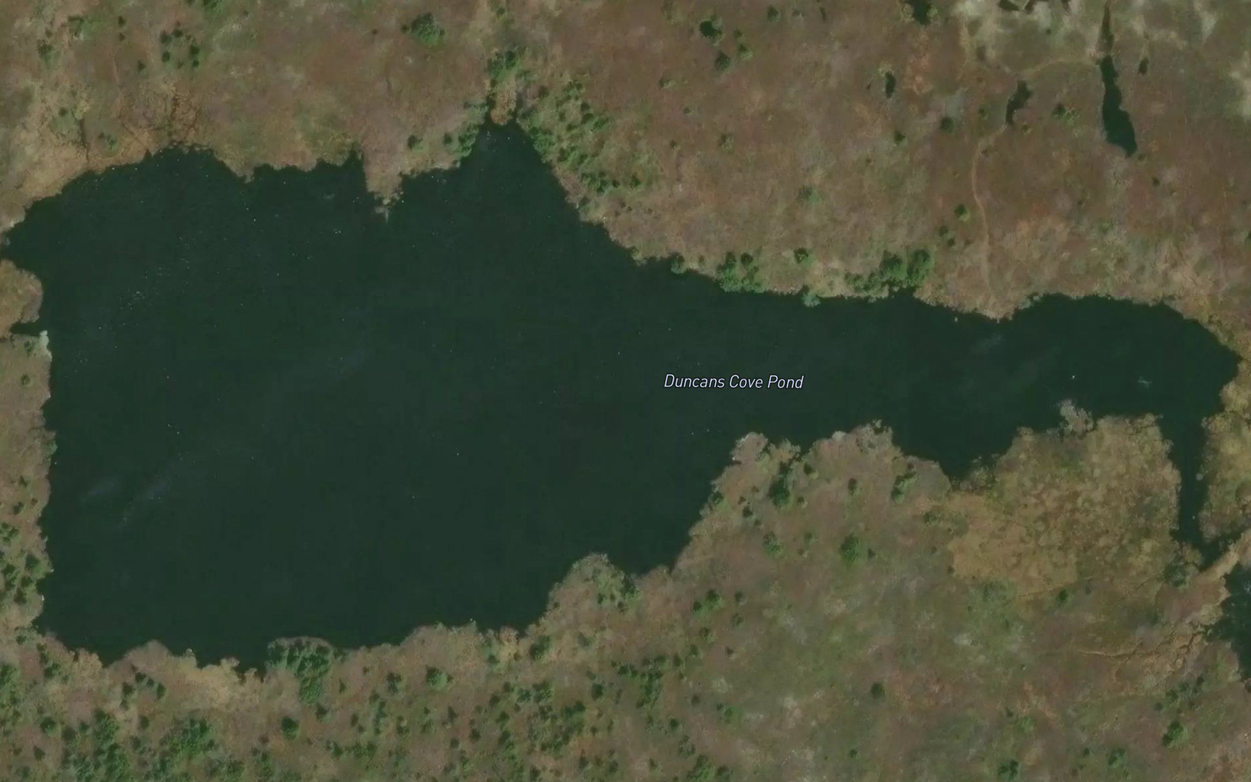 Duncans Cove Pond