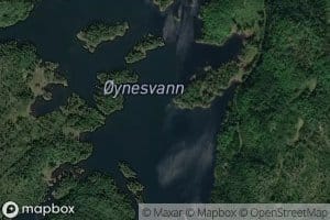 Oynesvann