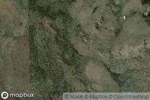 Gully Spring