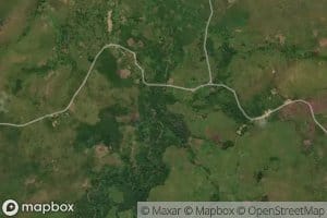 Busi