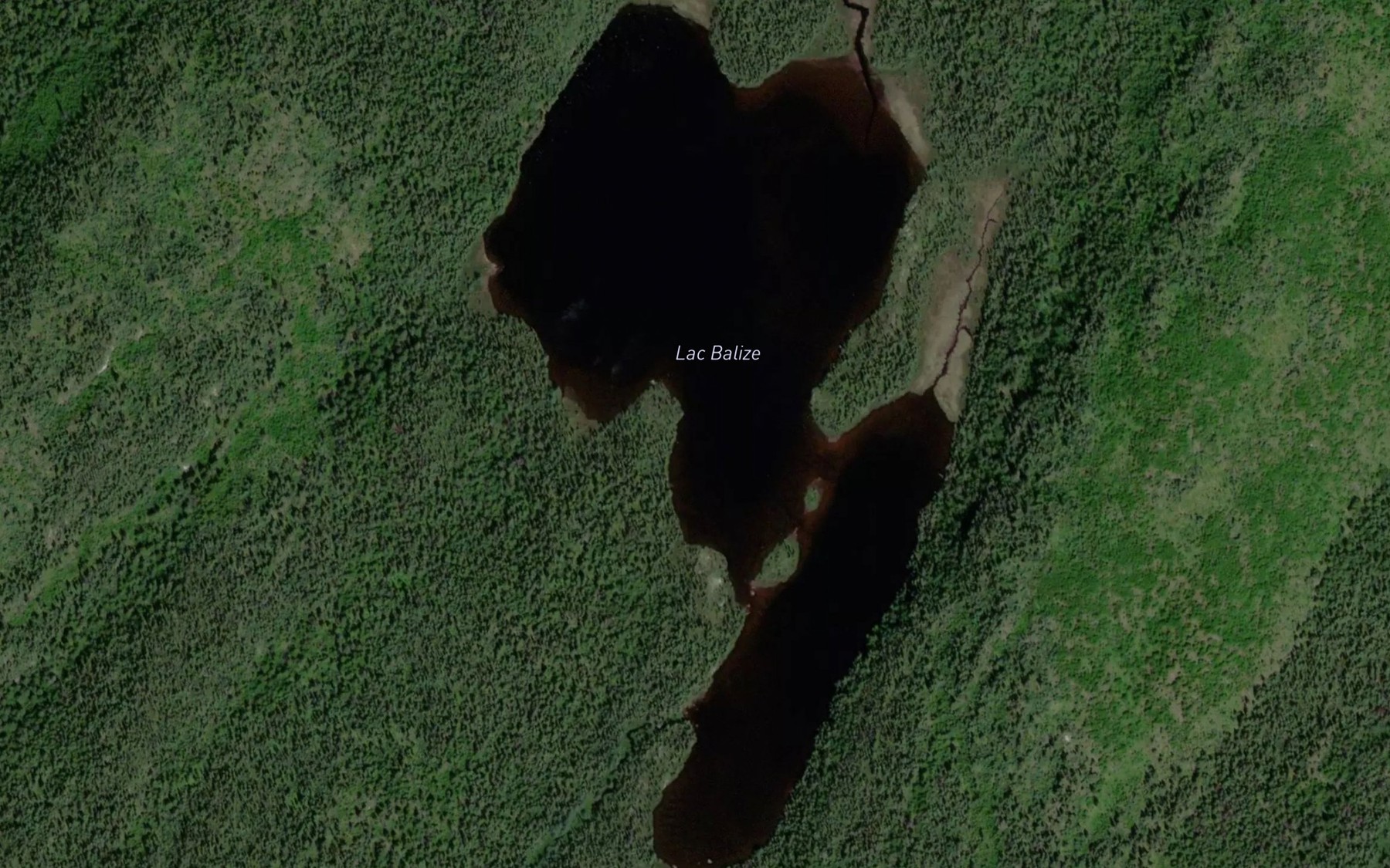 Satellite map of the Lac Balize