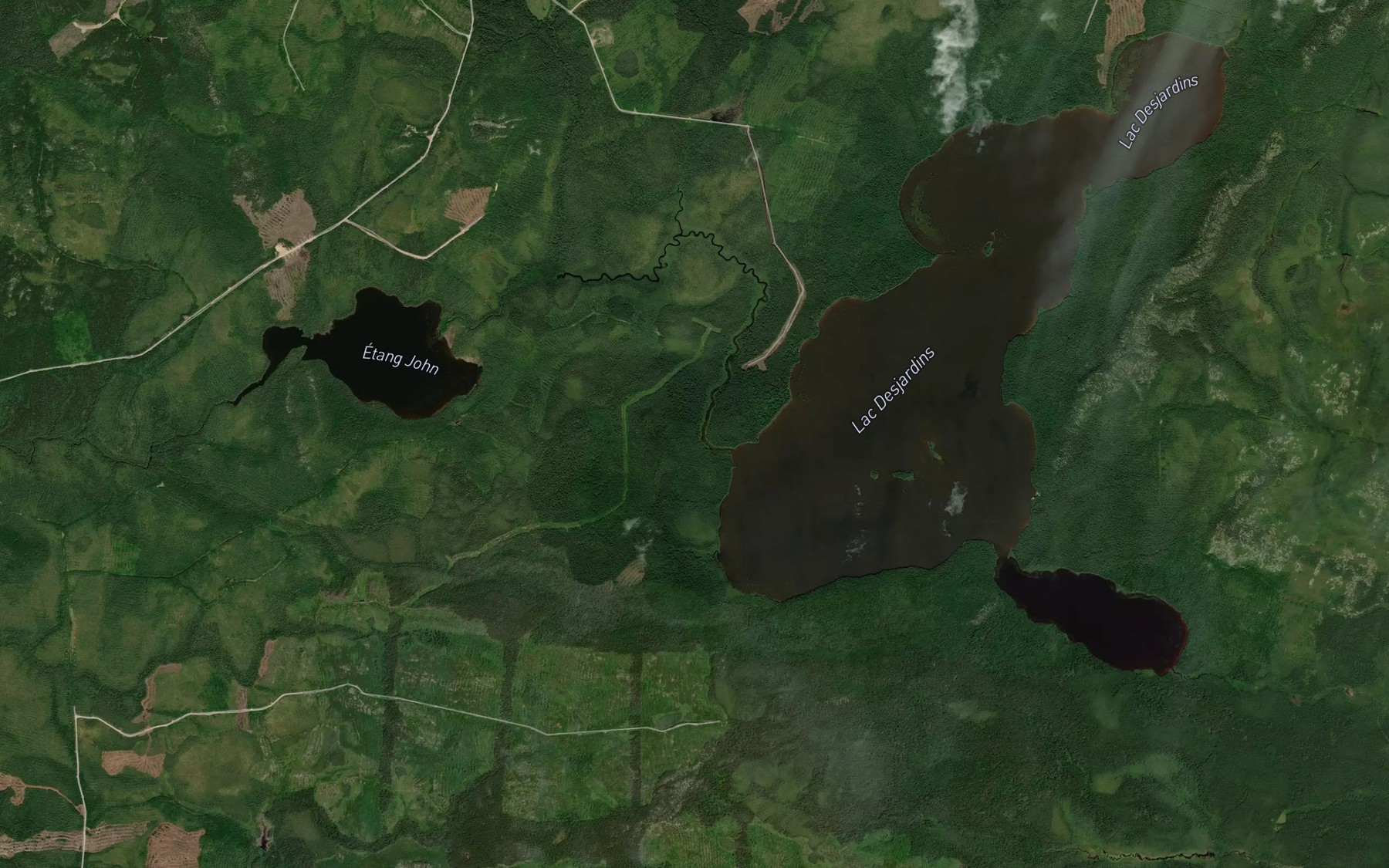 Satellite map of the Ruisseau Adikamegos