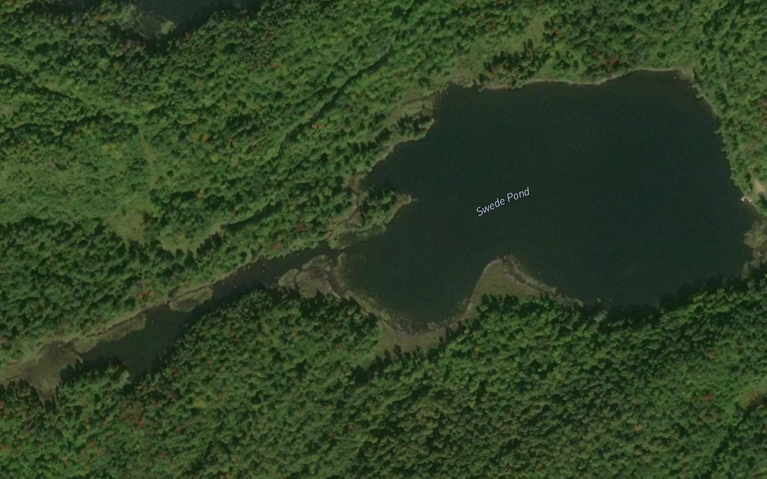 Swede Pond