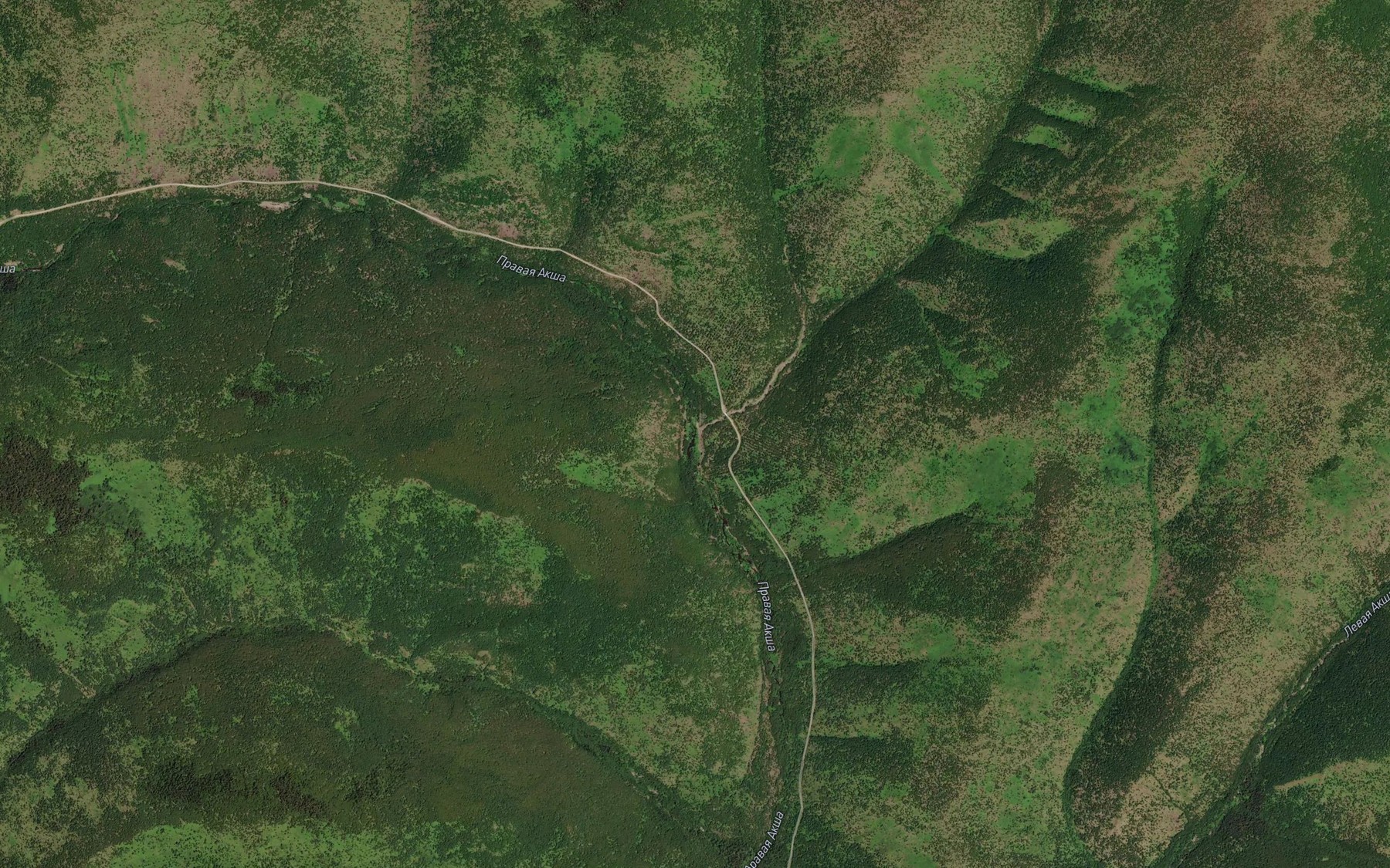 Satellite map of the Pryamoy