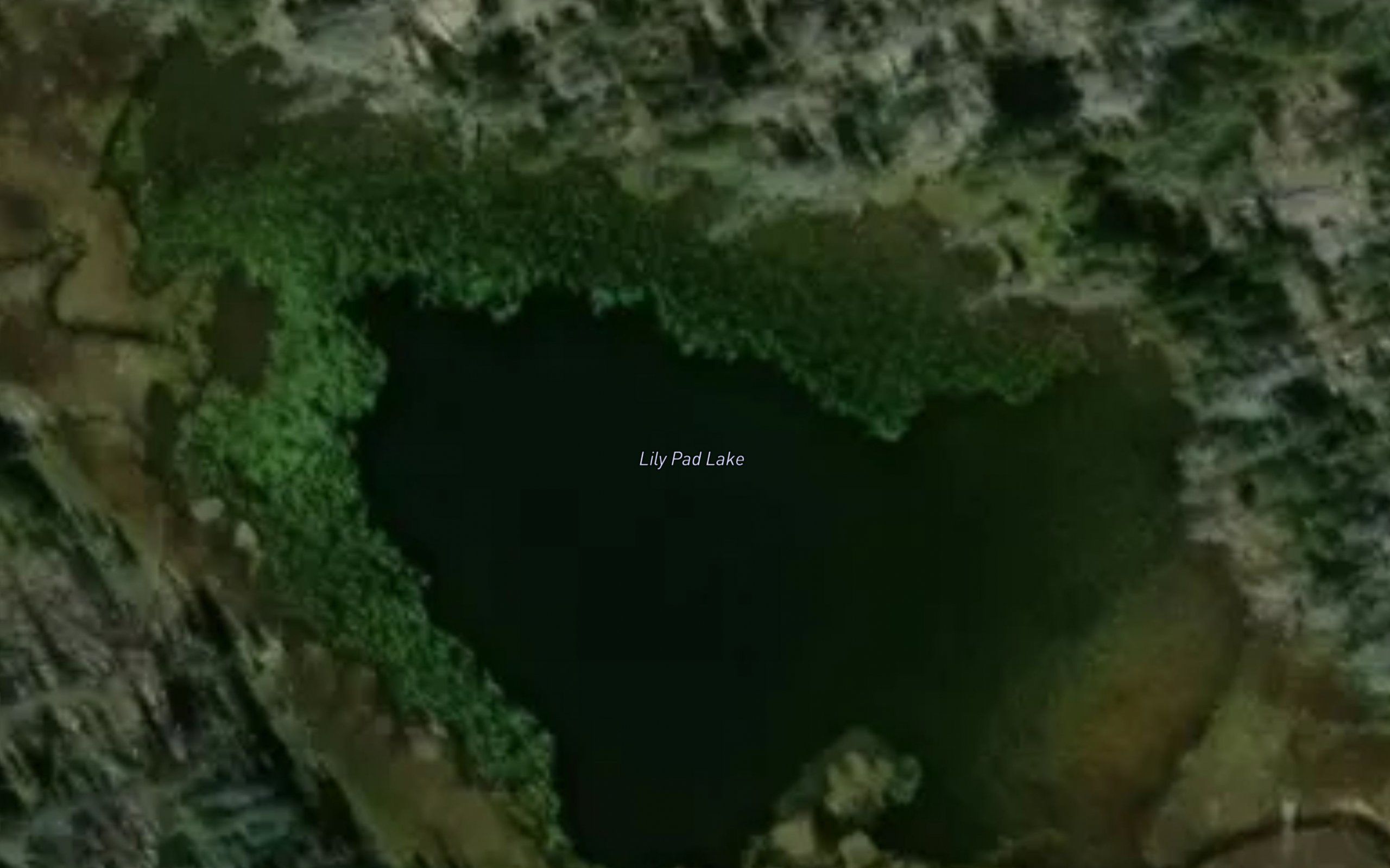 Lily Pad Lake