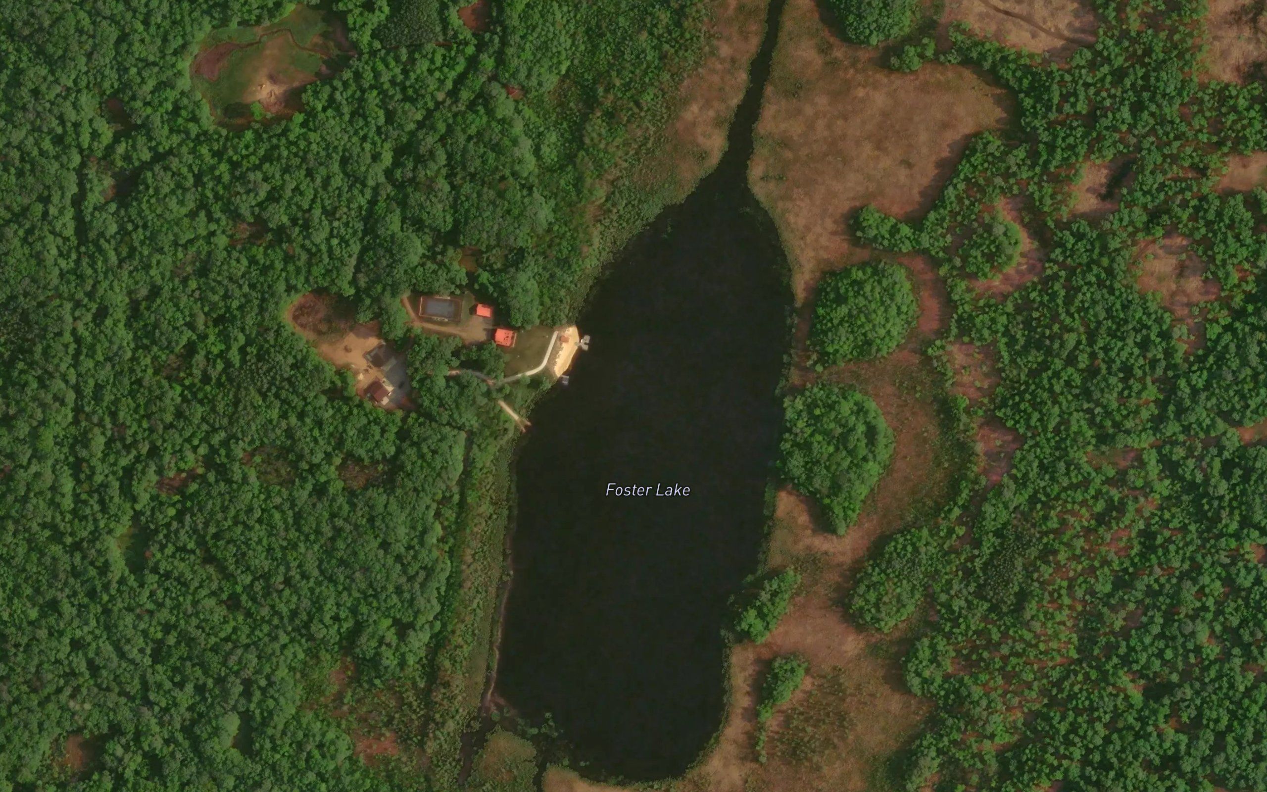 Foster Lake