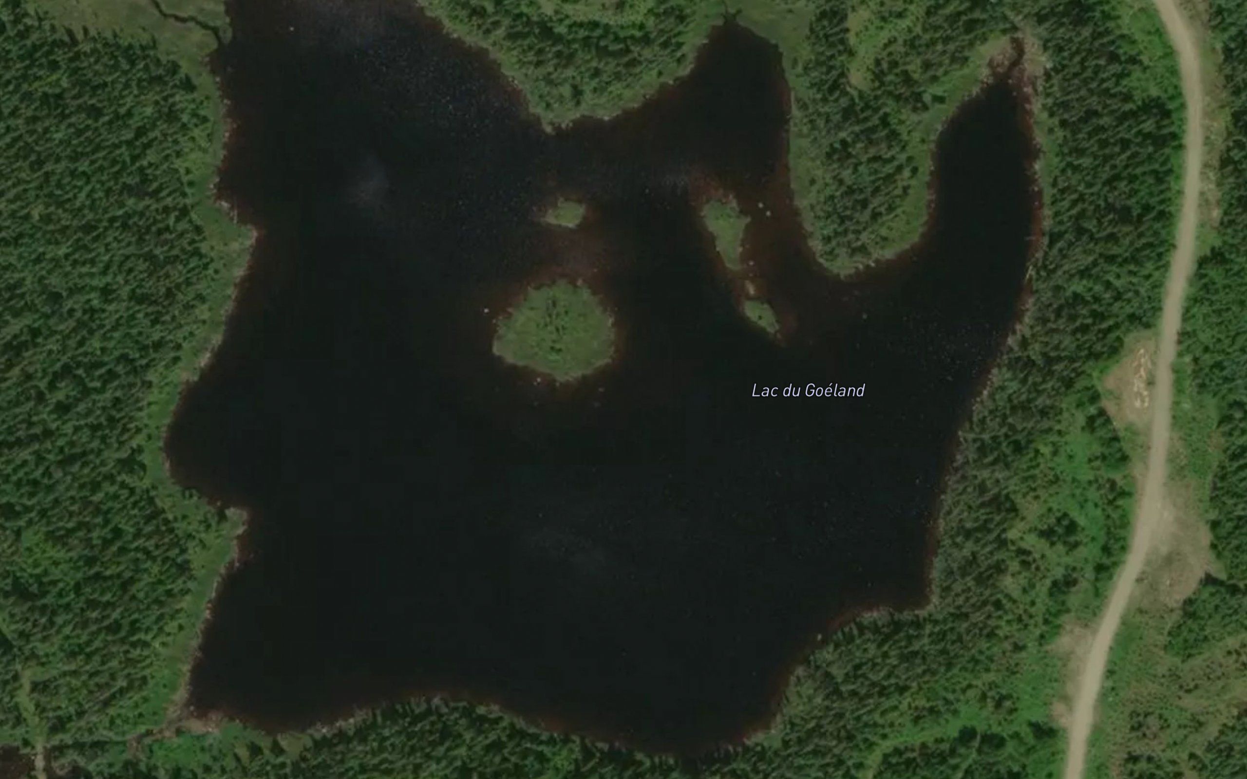 Lac du Goeland