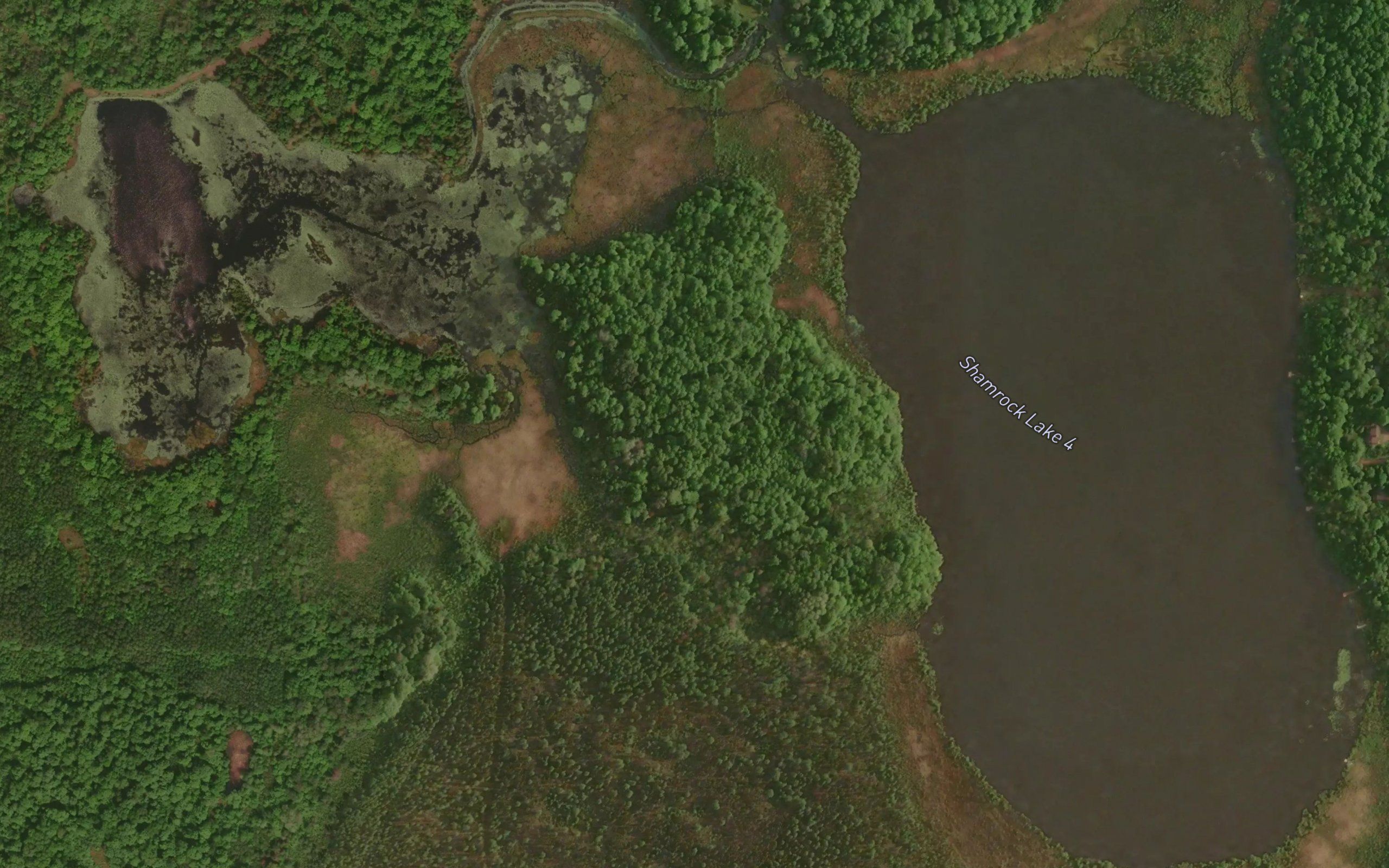Shamrock Lake 4