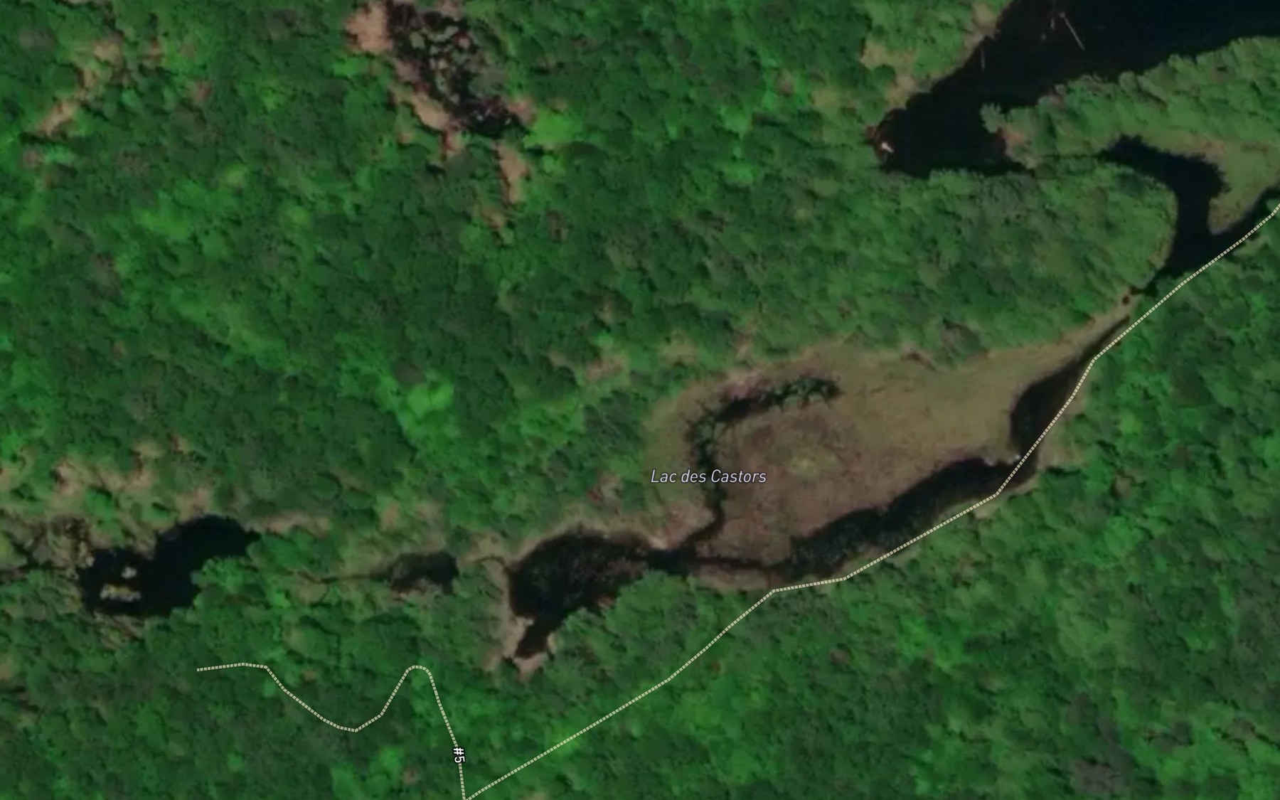 Satellite map of the Lac des Castors