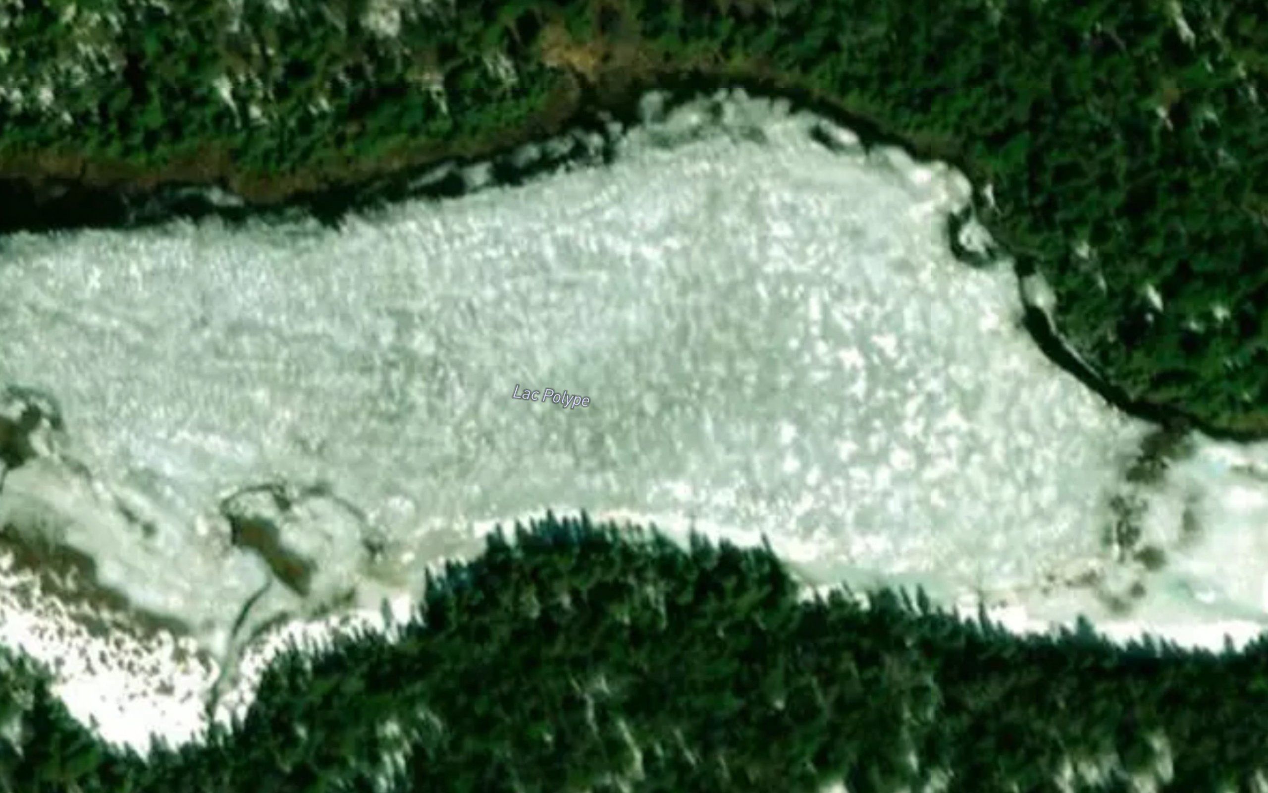 Lac Polype