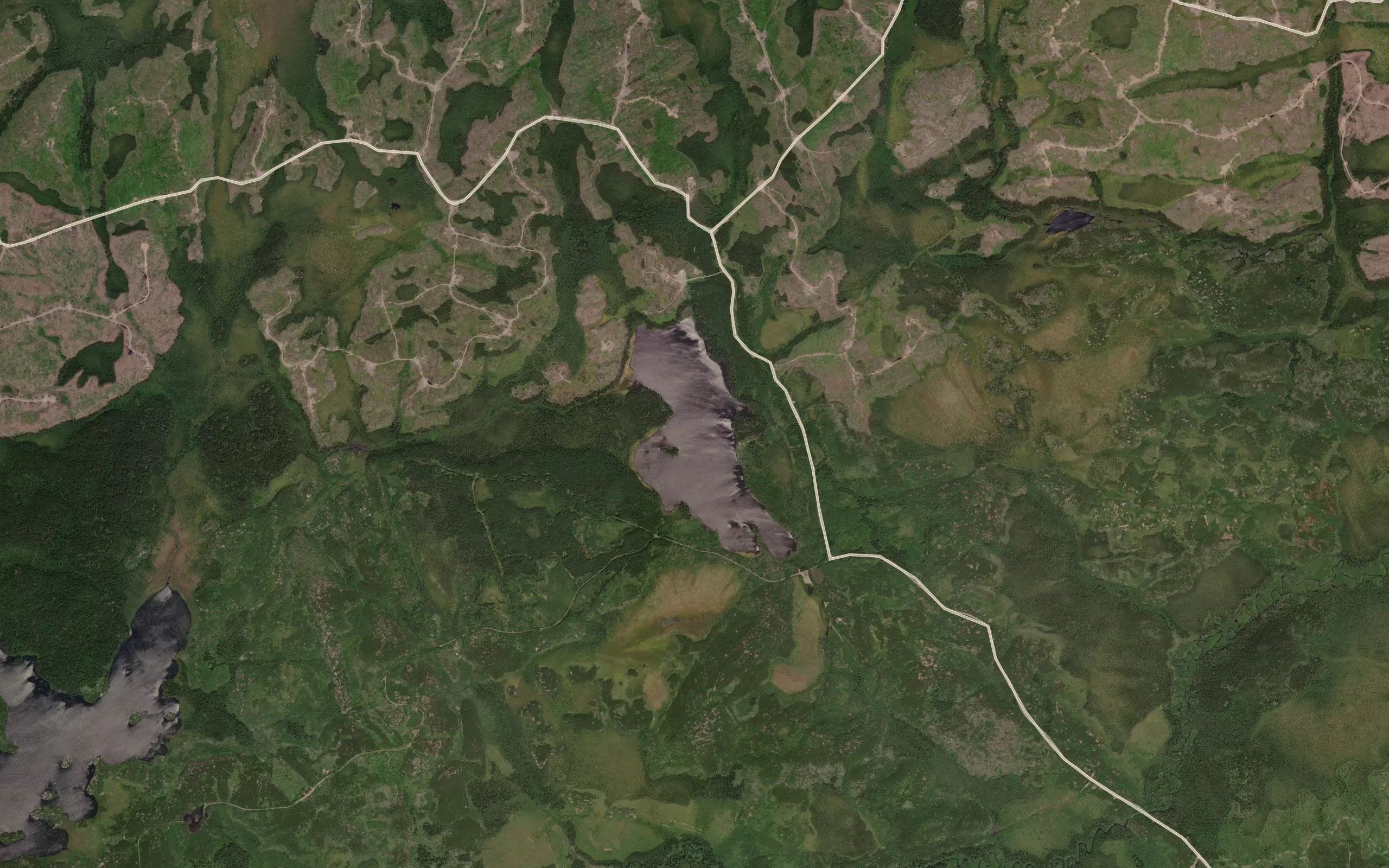 Koster Lake