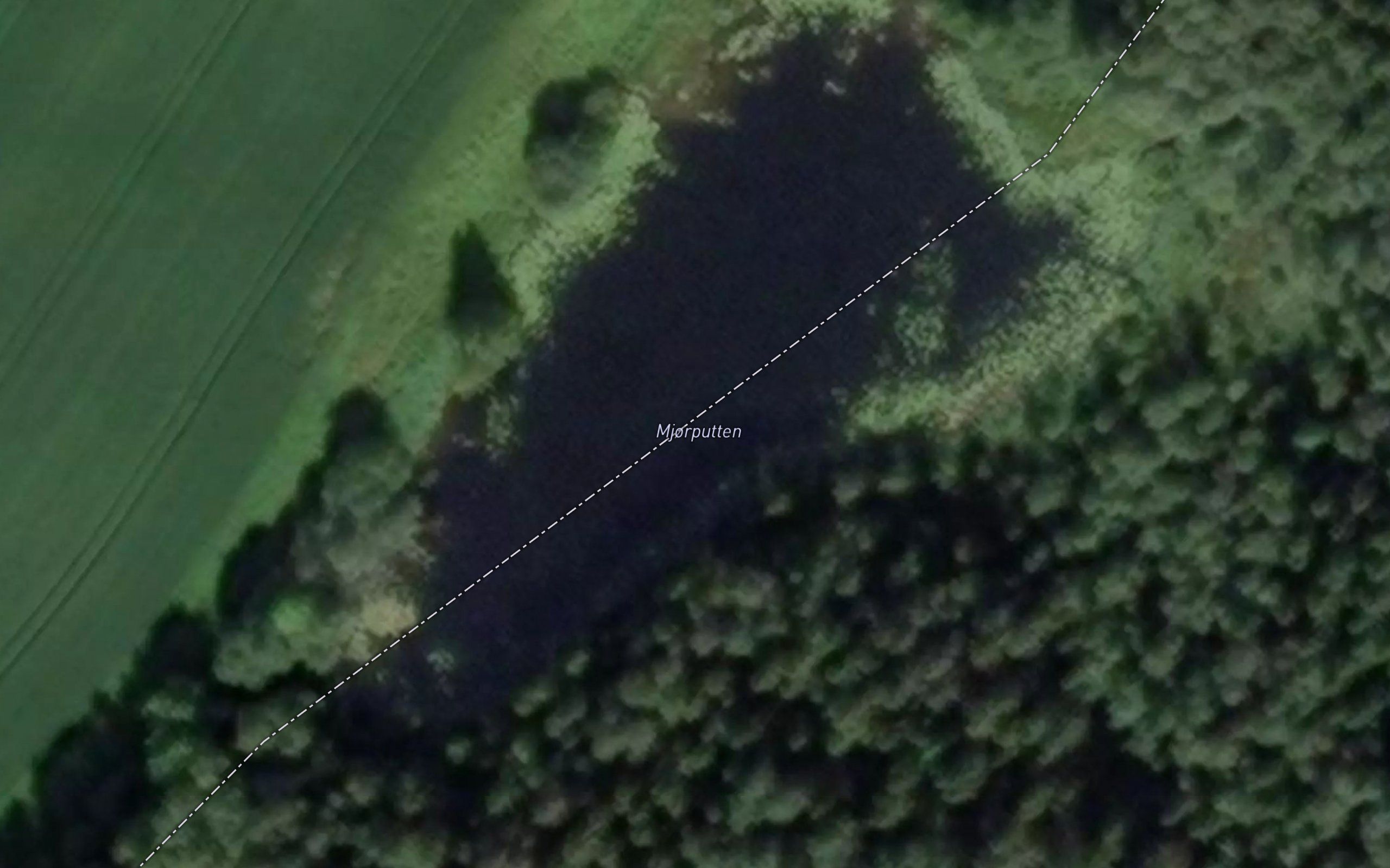Mjorputten