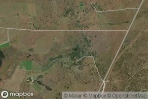 Oog van Gerhard Minnebron