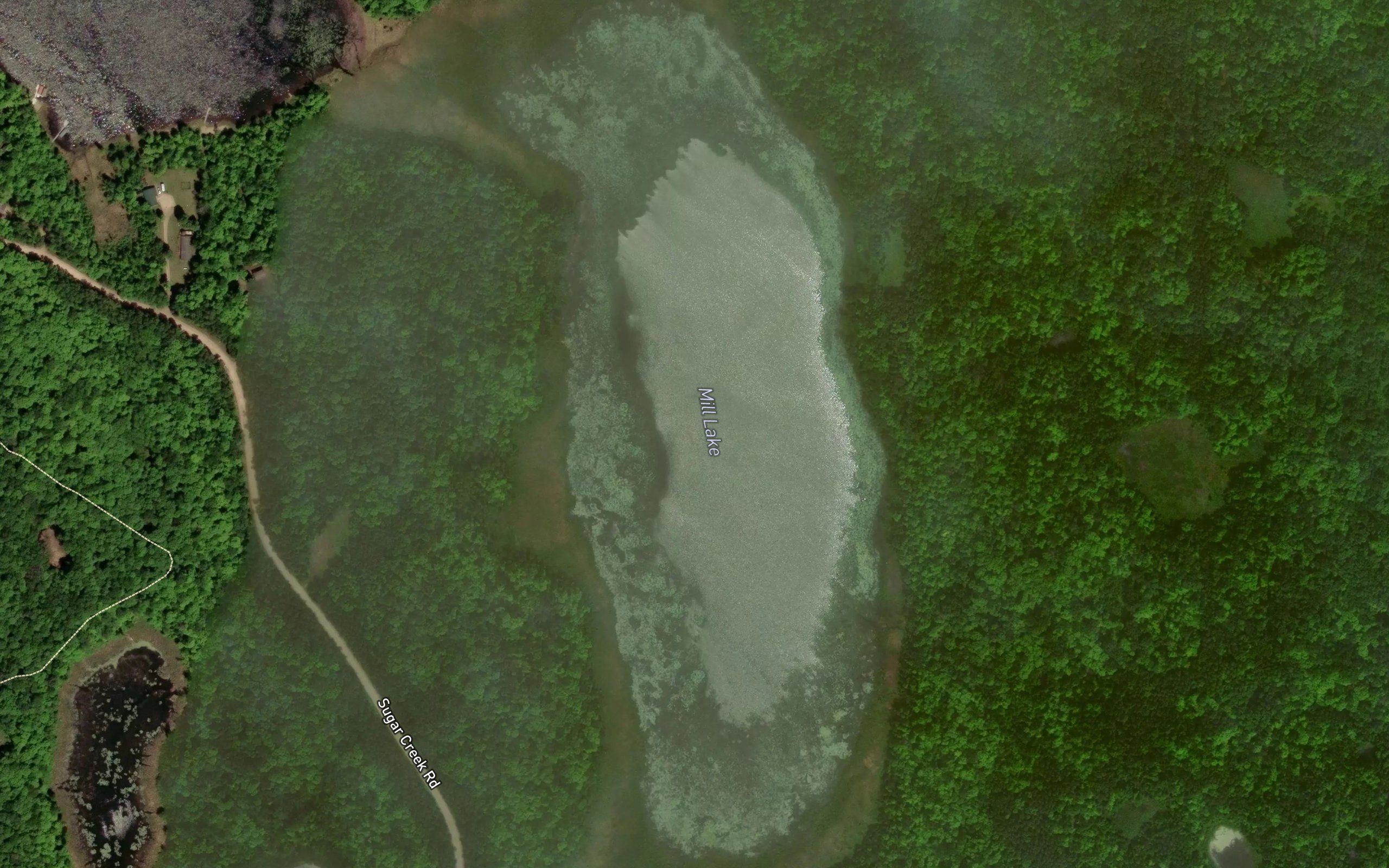 Mill Lake