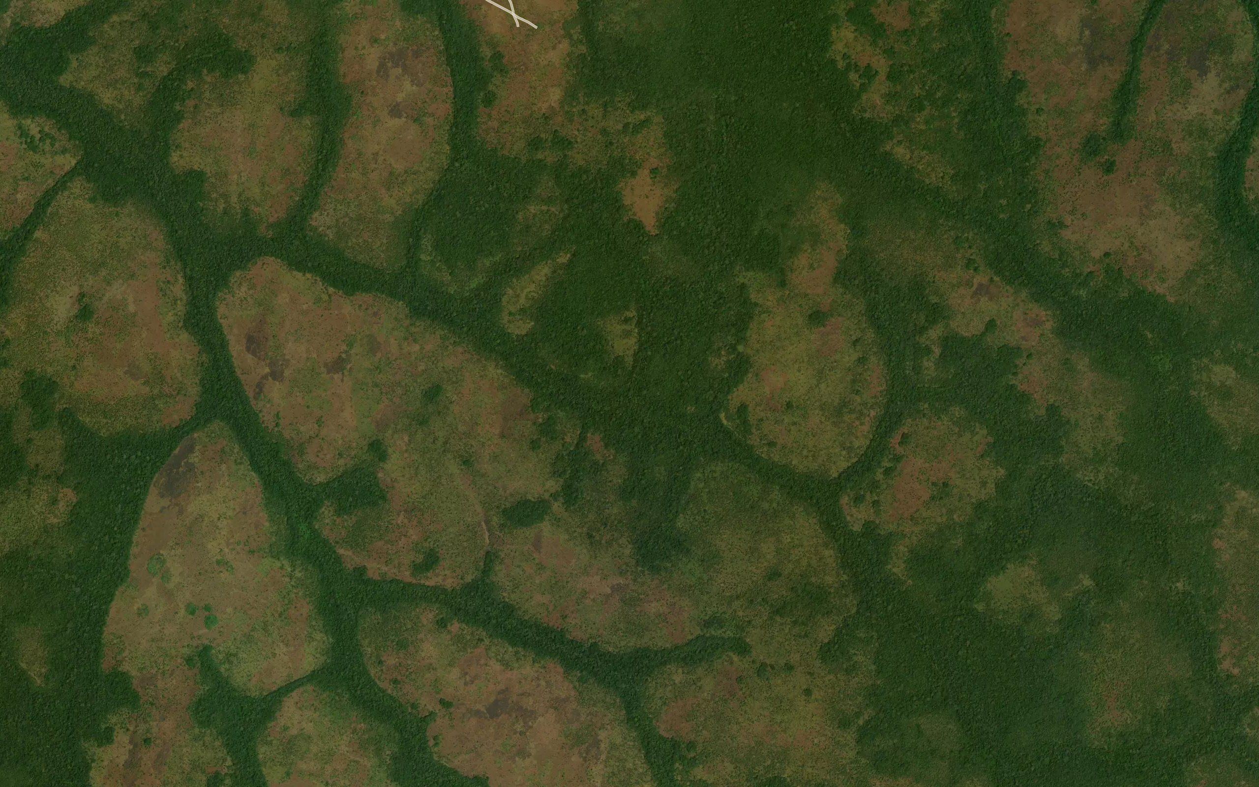 Namonga