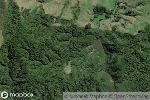 Moakurarua Stream