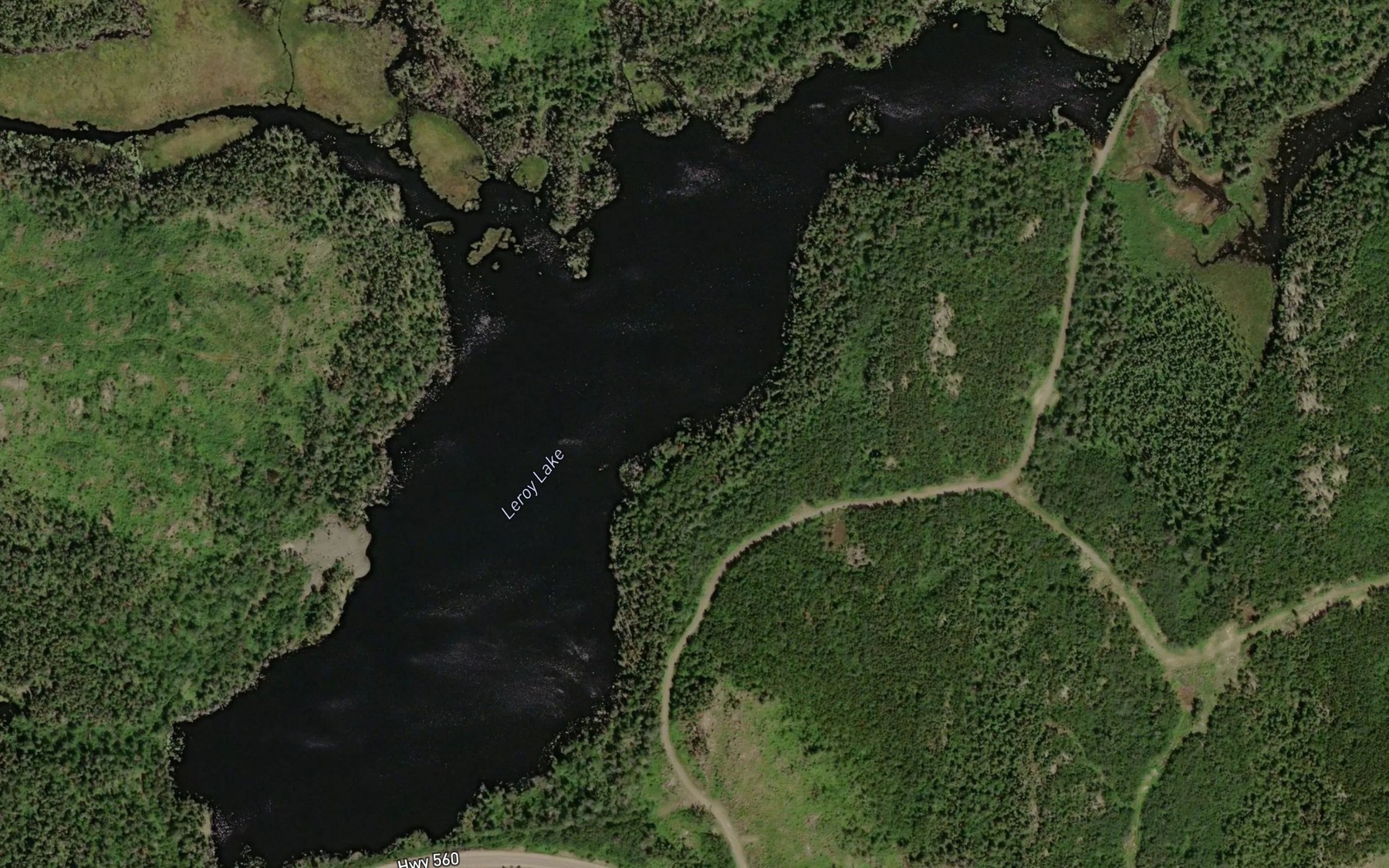Satellite map of the Leroy Lake