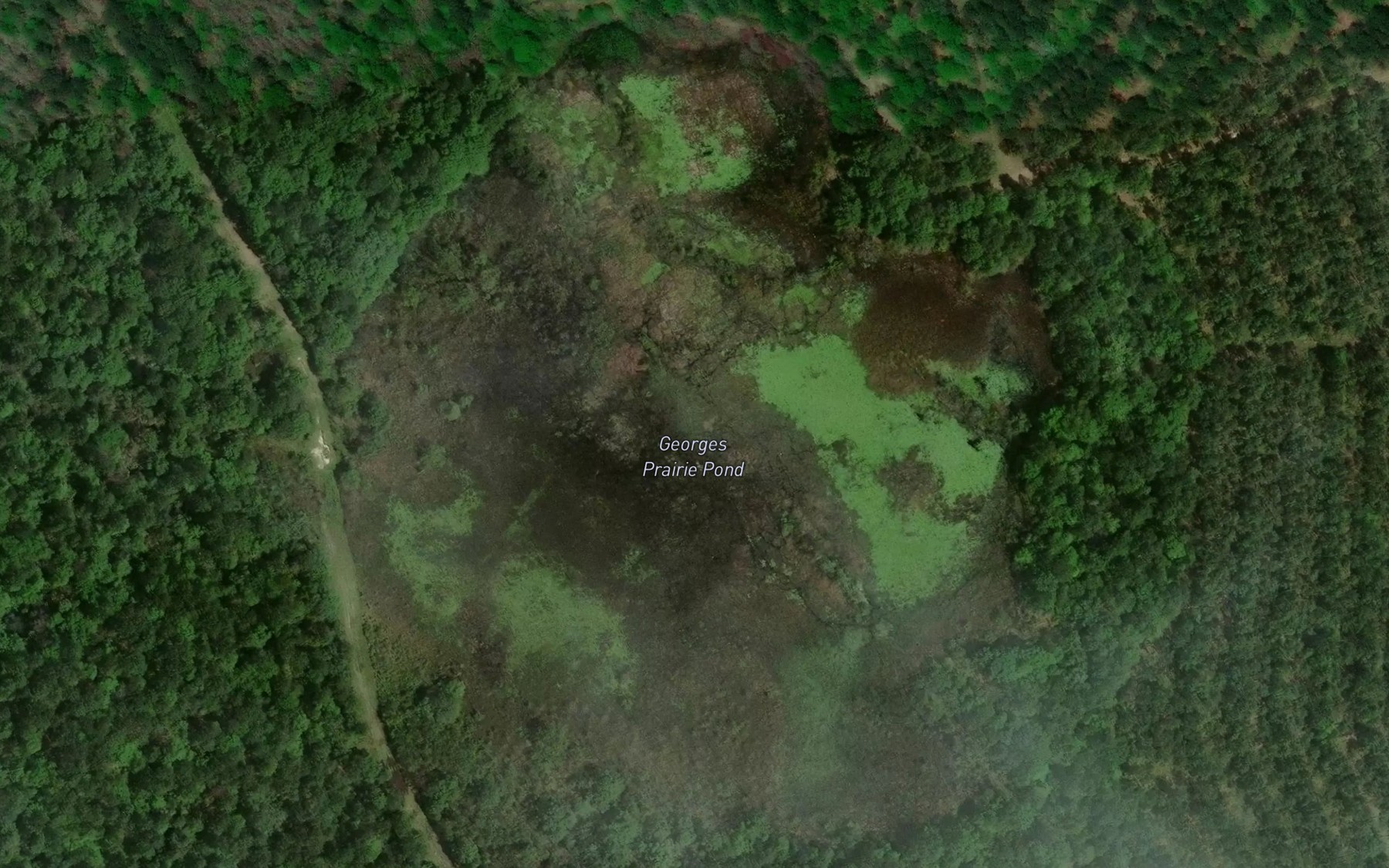 Satellite map of the Georges Prairie Pond