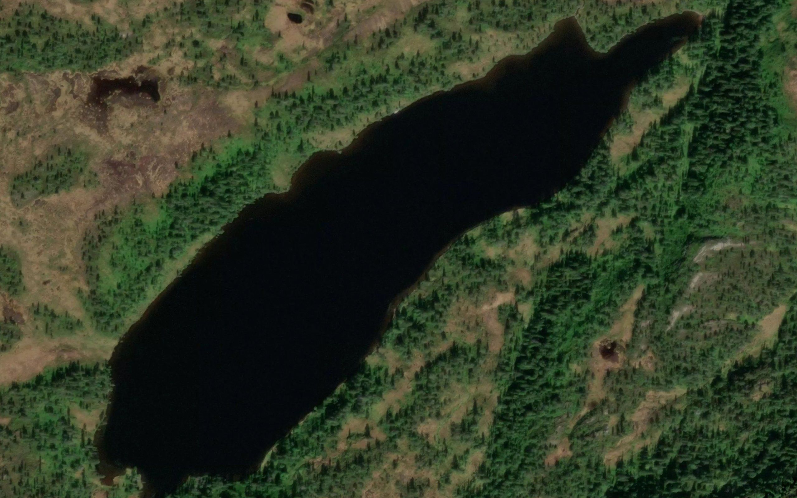 Haervoltjonna