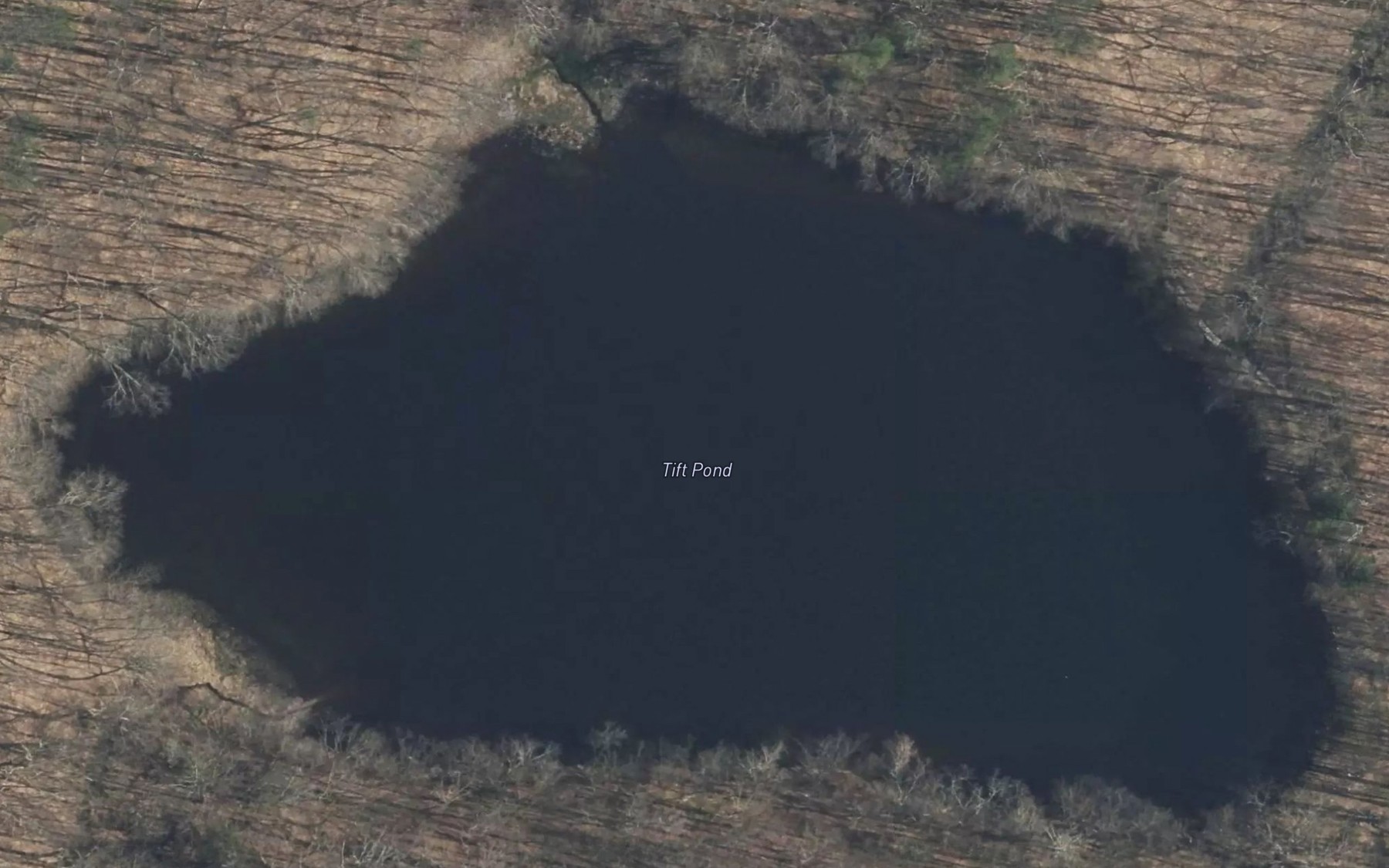 Satellite map of the Tift Pond