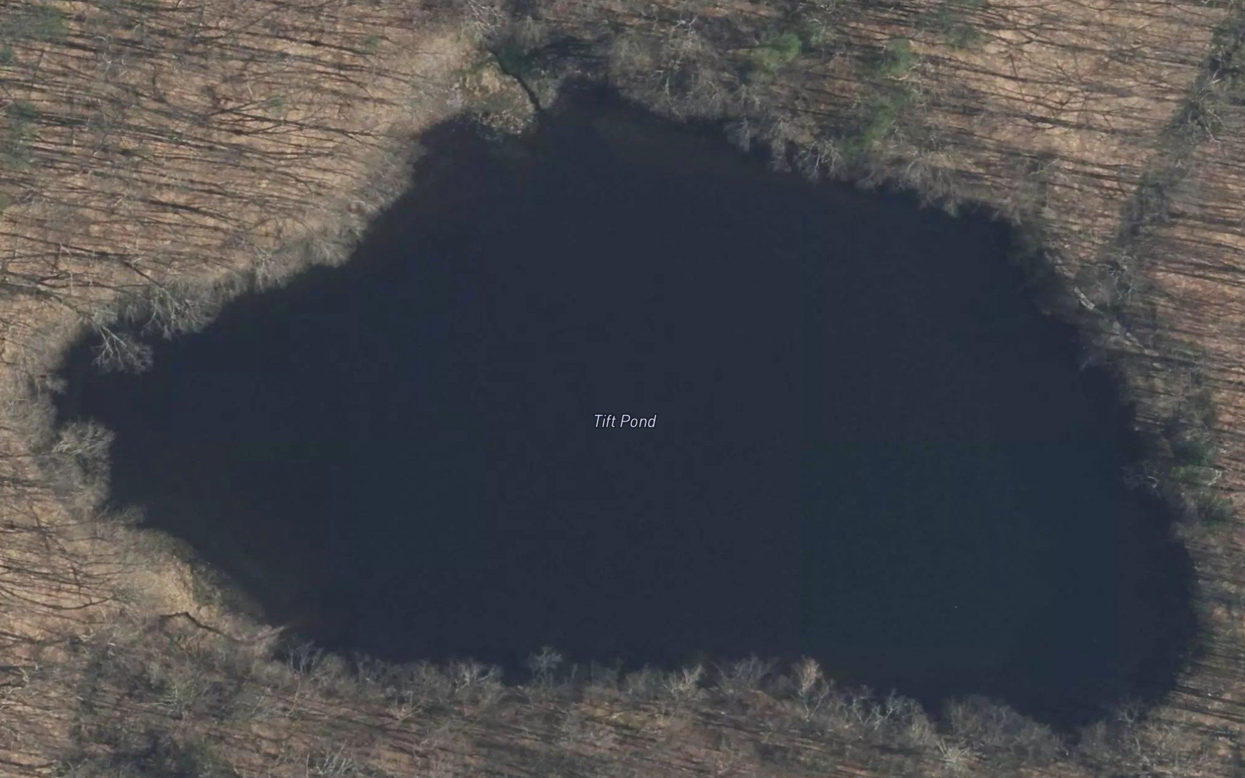 Tift Pond