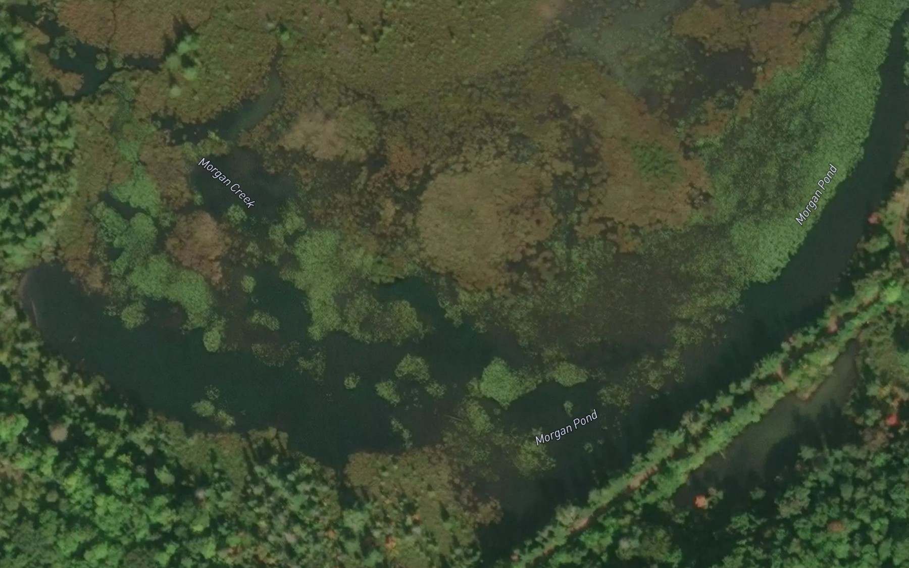 Satellite map of the Morgan Pond