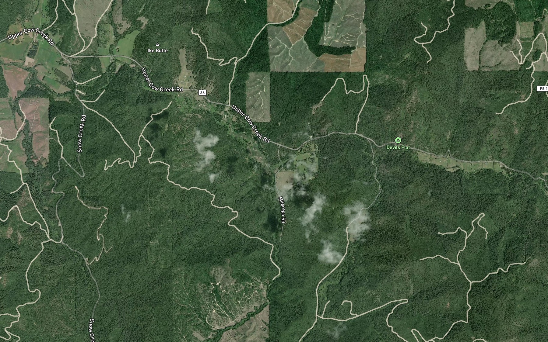 Satellite map of the Dismal Creek