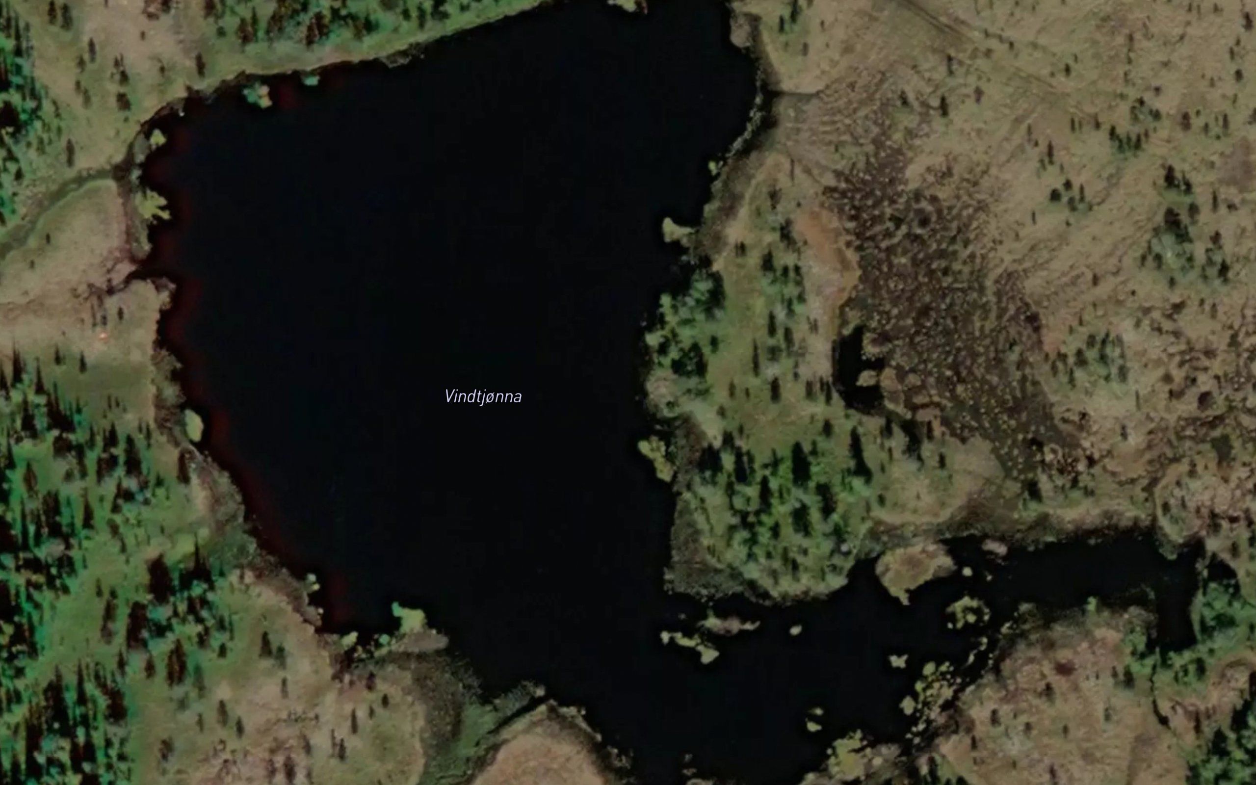 Vindtjorna