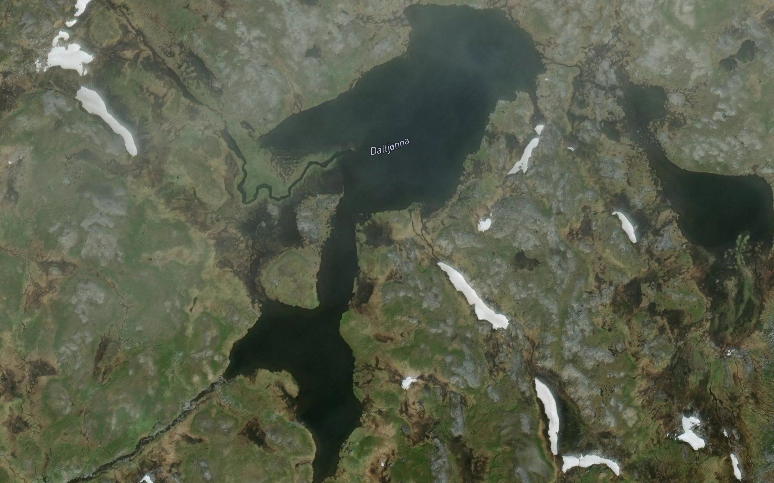 Daltjorna