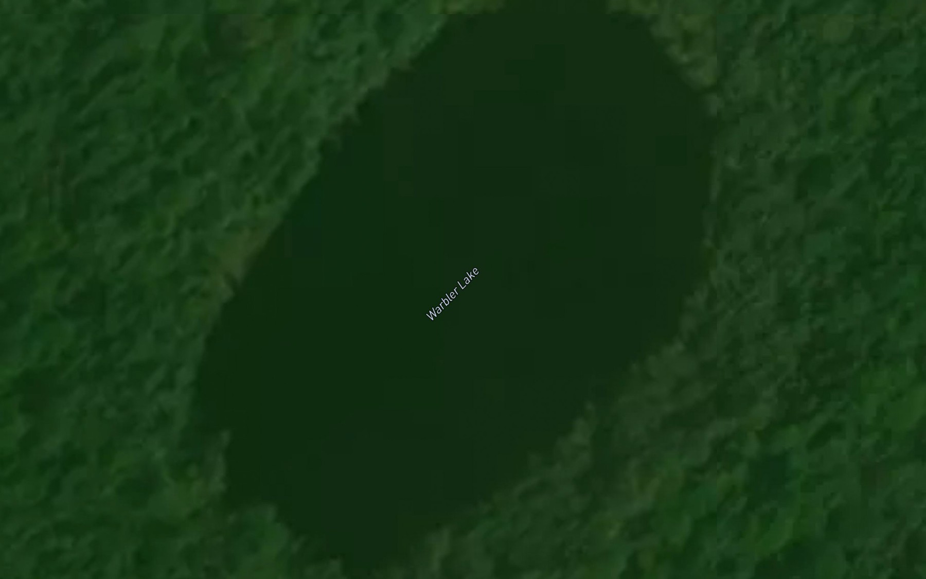 Satellite map of the Warbler Lake