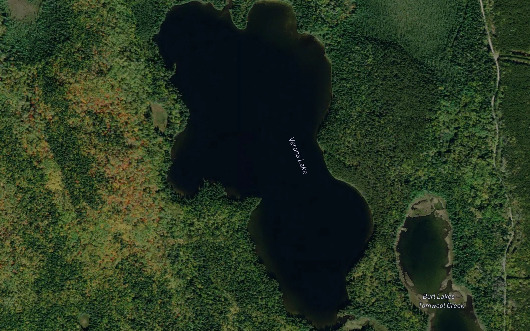 Satellite map of the Verona Lake