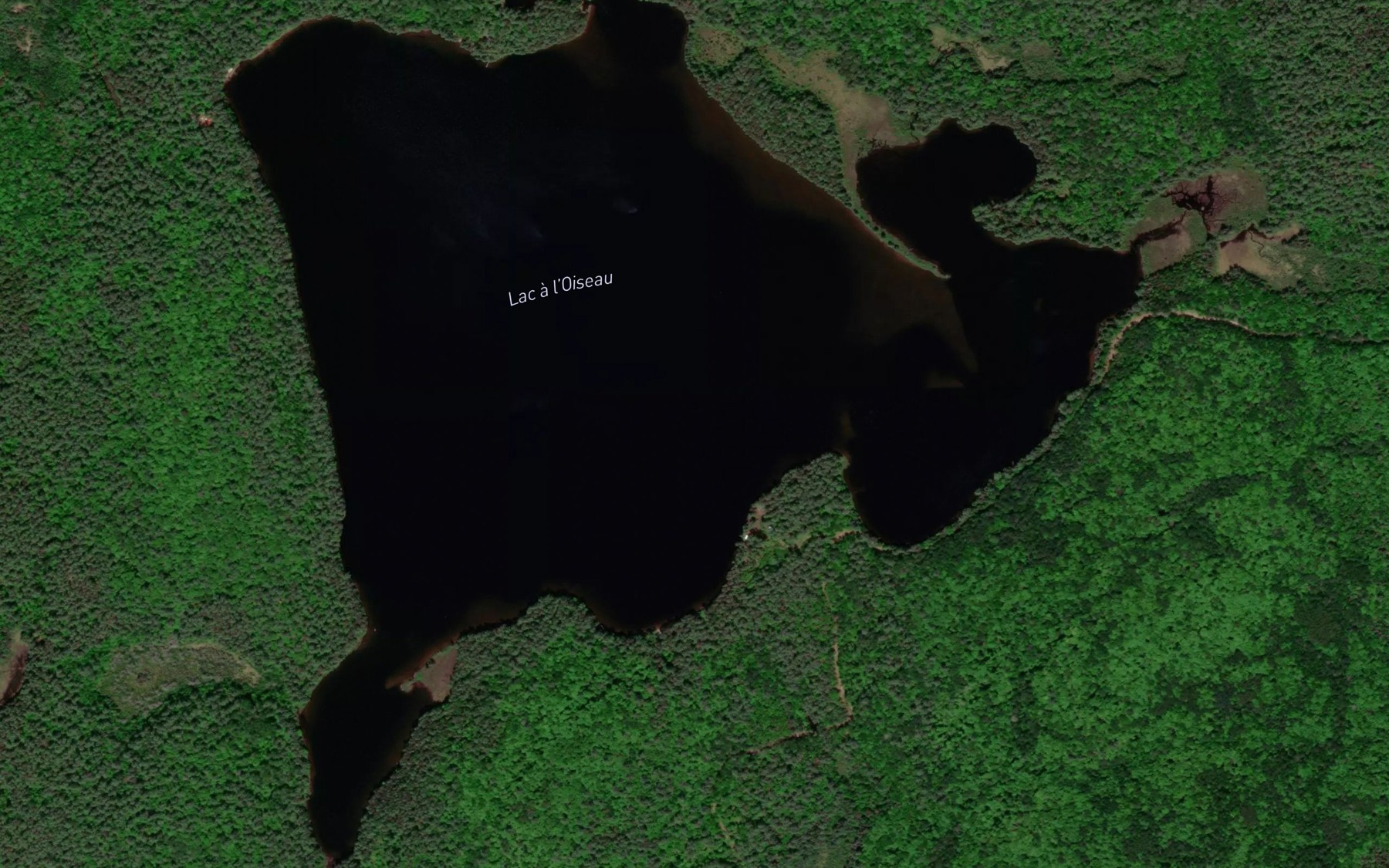 Satellite map of the Lac a l'Oiseau