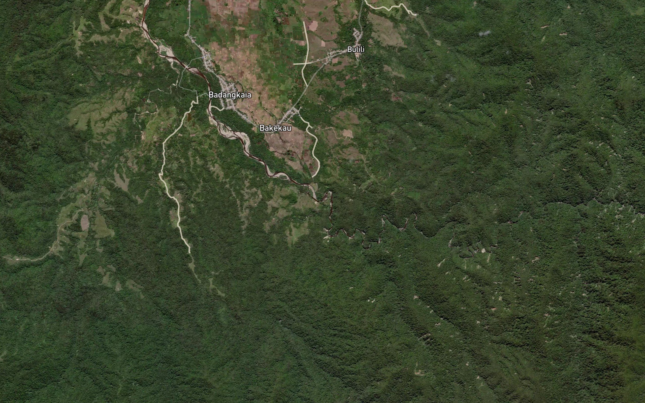 Halu Poahua
