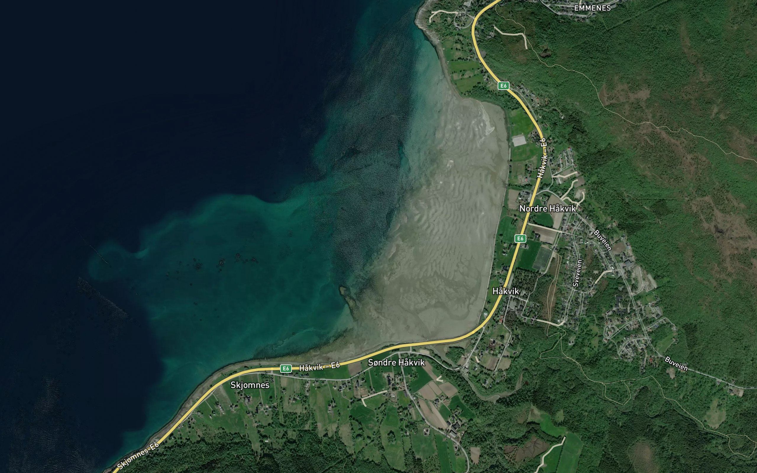 Hakvika