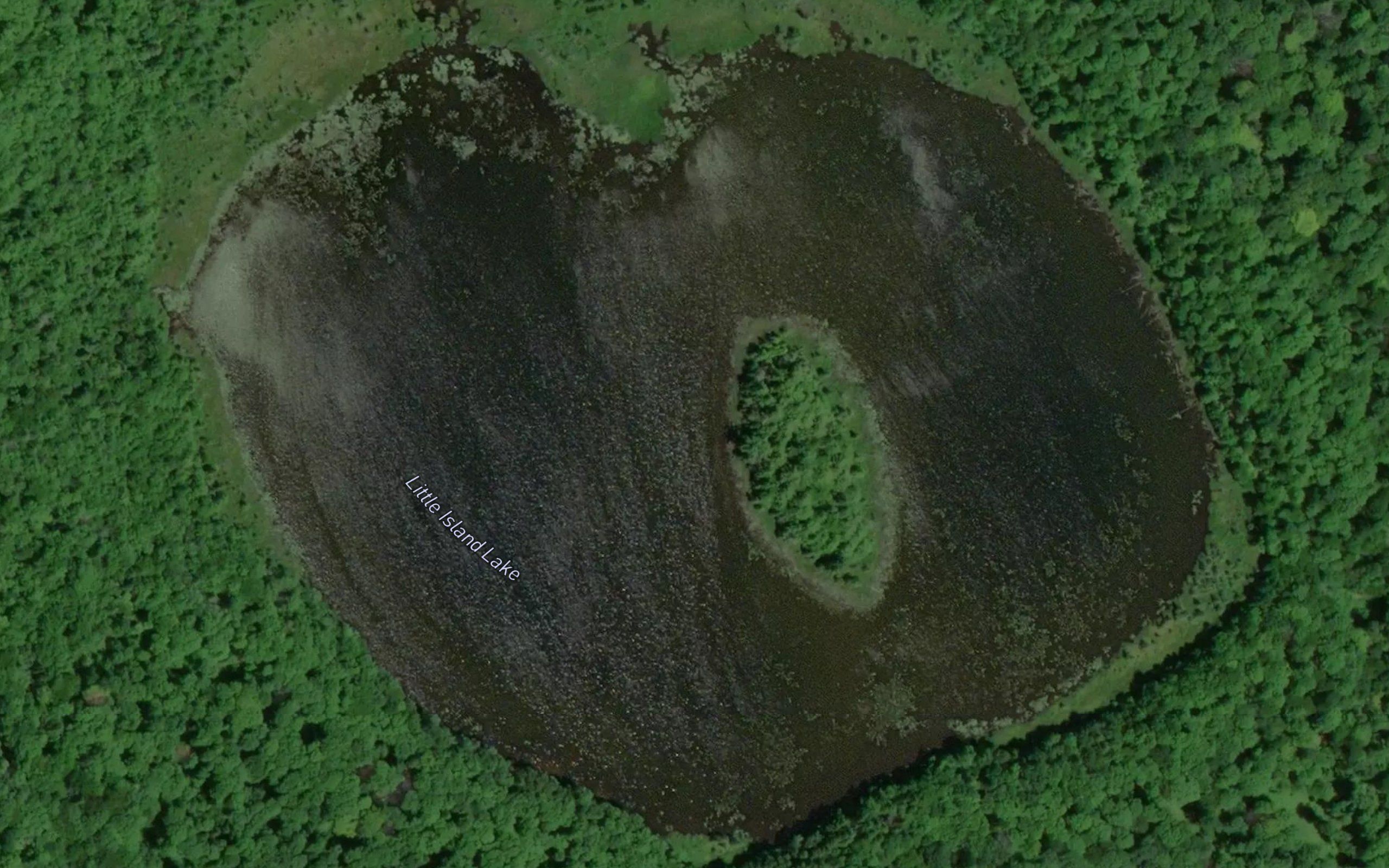 Little Island Lake
